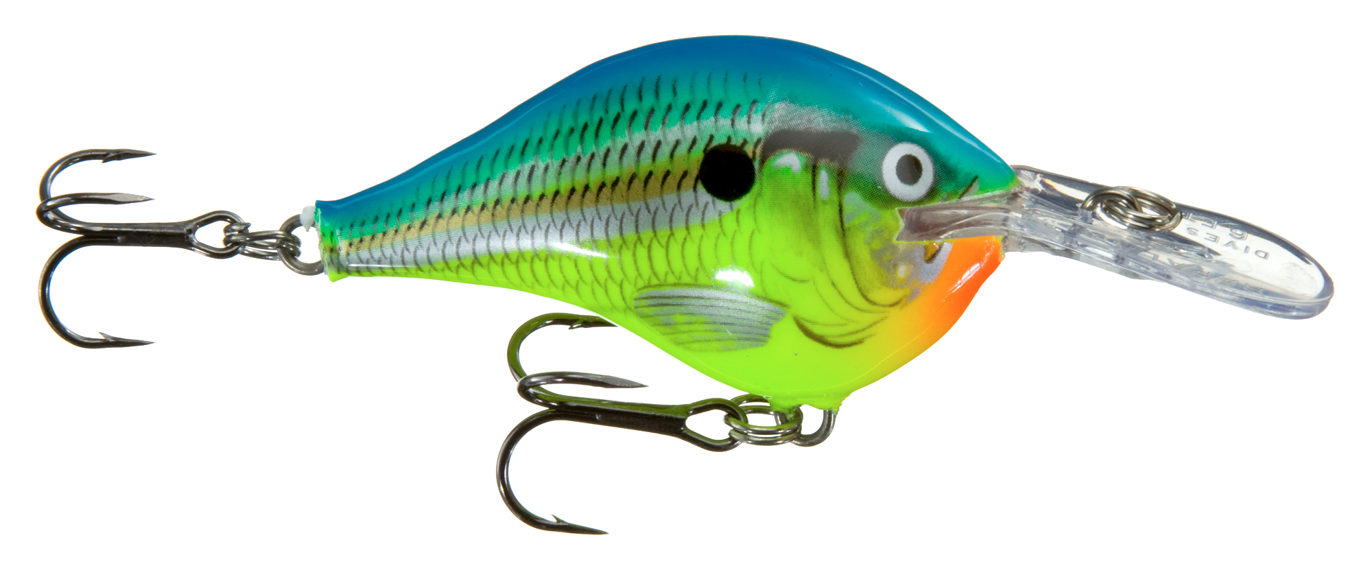 Image of Rapala DT Dives-To Series Crankbait - Parrot - 2″ - 3/8 oz. - 6'