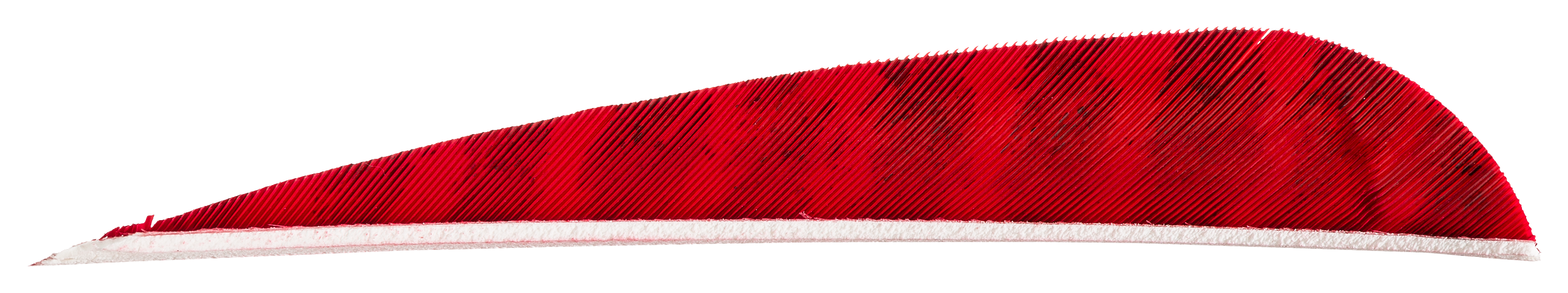 Gateway Right-Wing Feathers - 4 - Barred Red
