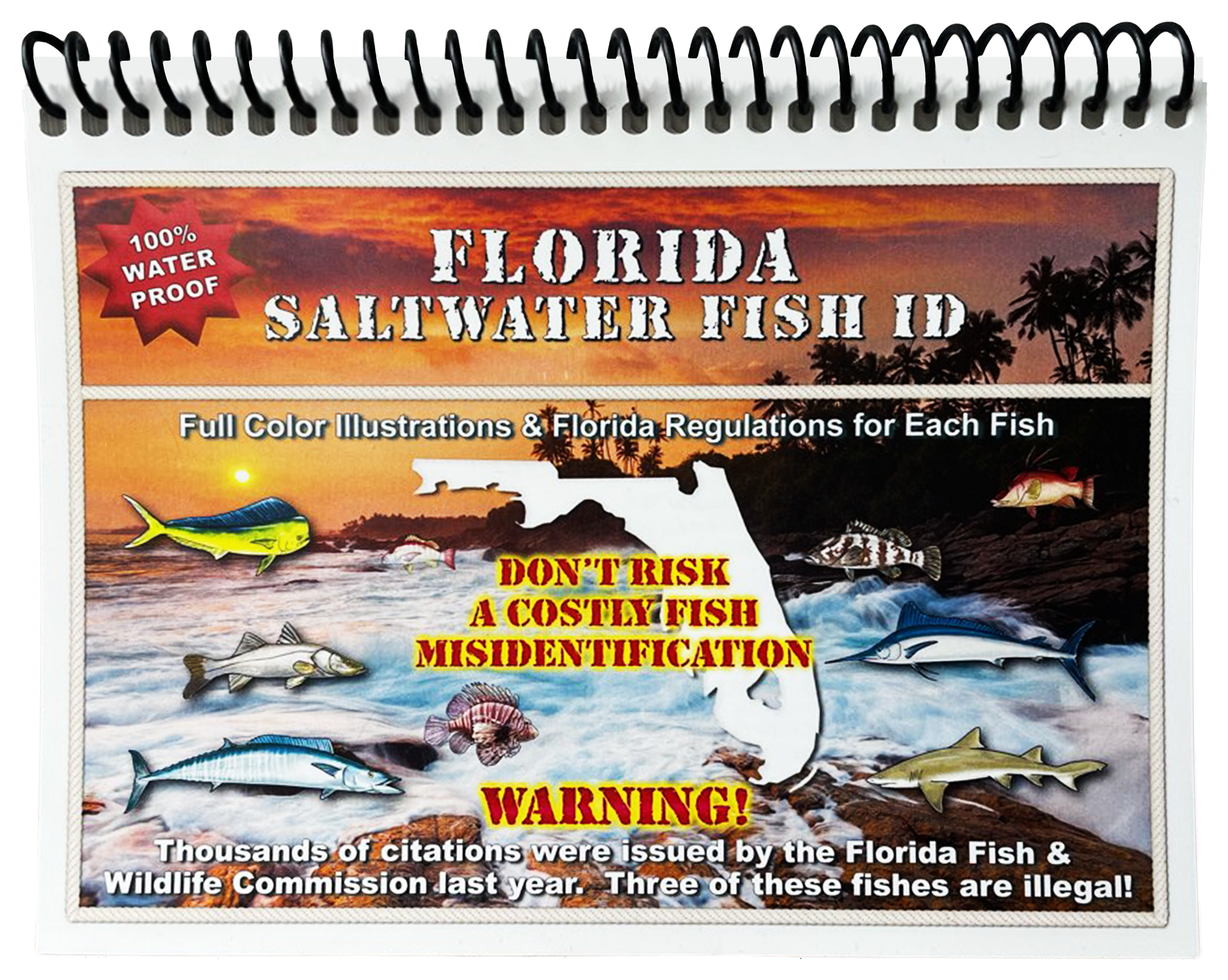 Fish ID - Florida Freshwater [Guide-Fish-FL-Freshw] - $14.99 : America Go  Fishing Online Store, New Fishing and Diving Adventures Start Here