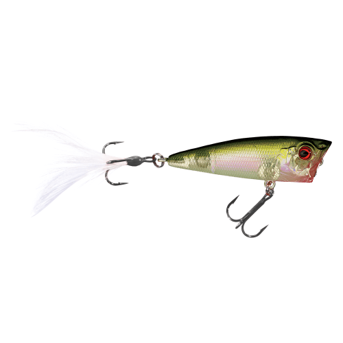 Bass Pro Shops XPS Professional Series Topwater Hard Baits Popper