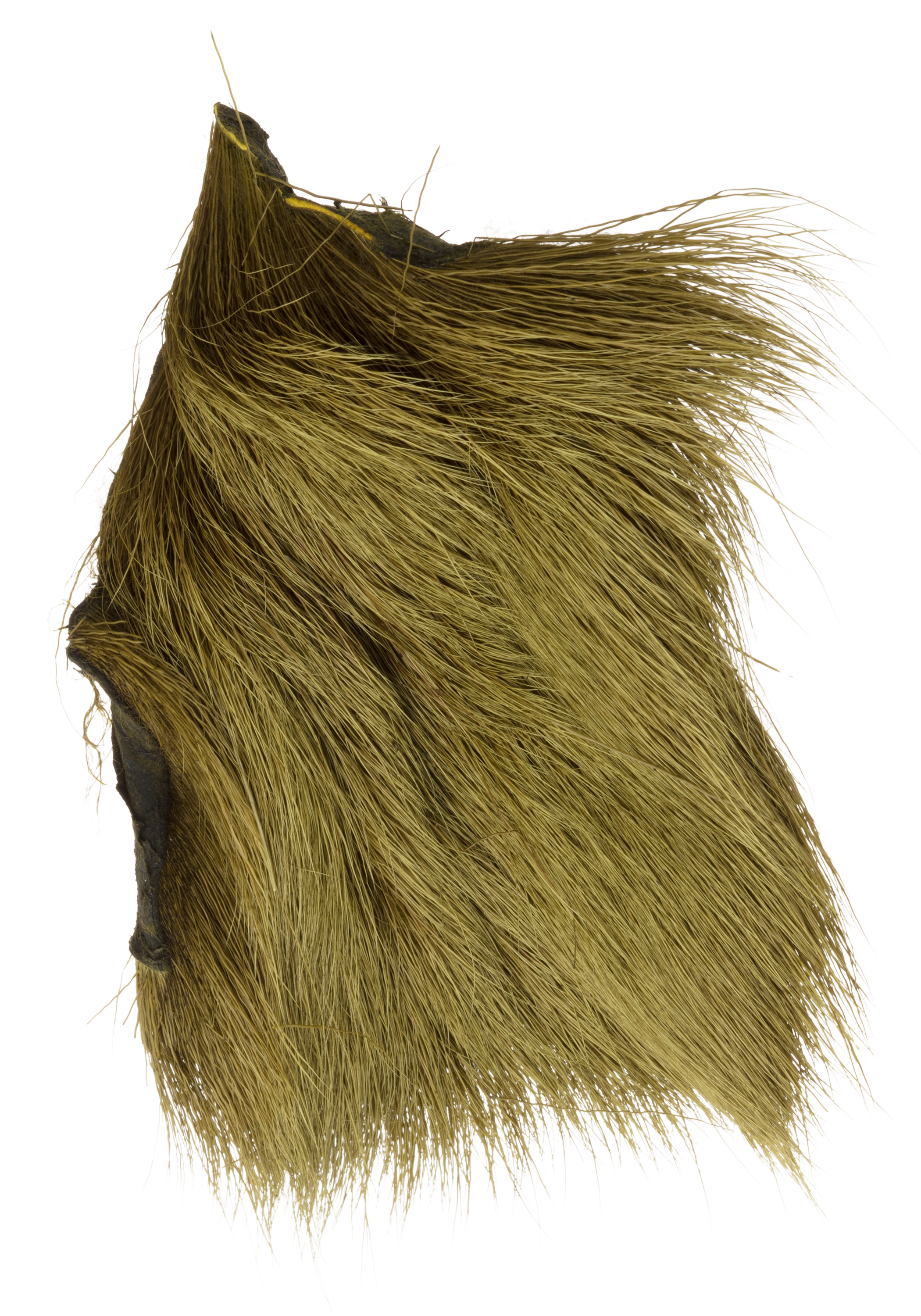 White River Fly Shop Deer Belly Hair - Olive