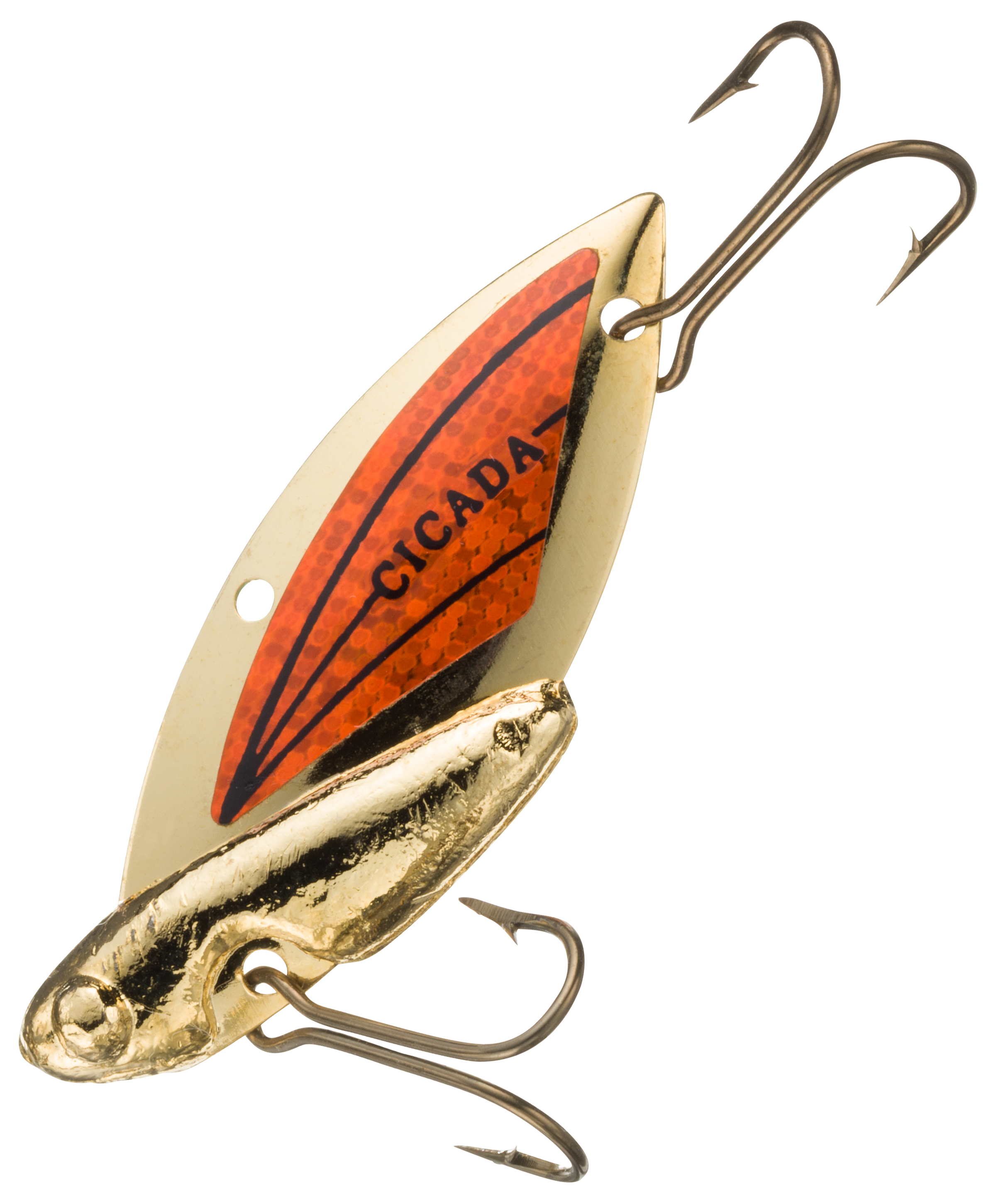 Reef Runner Cicada - 2 - Gold/Orange