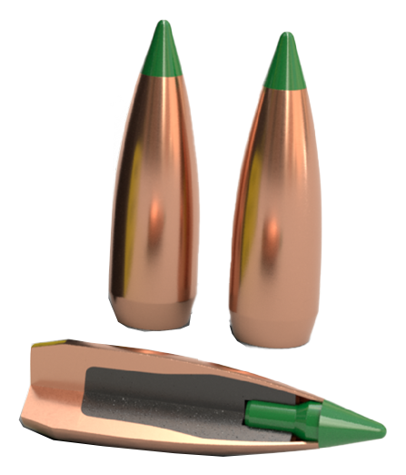 Nosler Ballistic Tip Boat Tail Bullets - 168 gr. - .308 dia. - Ballistic Tip Hunting