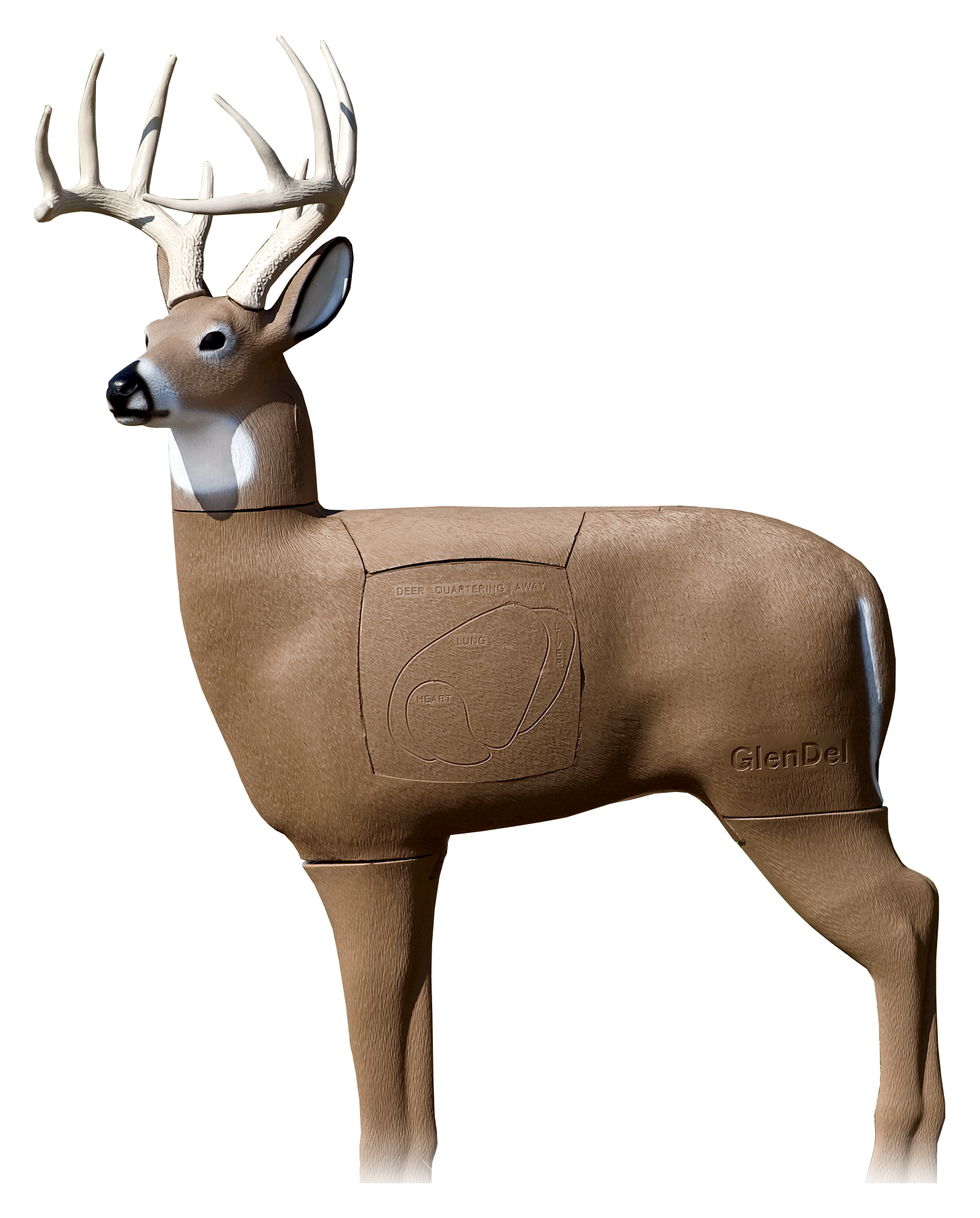 Field Logic GlenDel Pre Rut Buck 3-D Deer Target