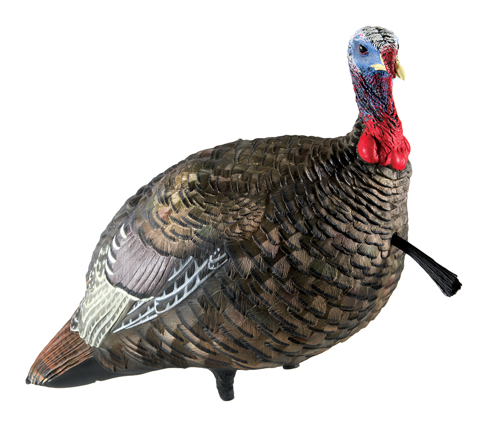 AVIAN-X LCD Lifelike Collapsible Decoy Jake Turkey Decoy