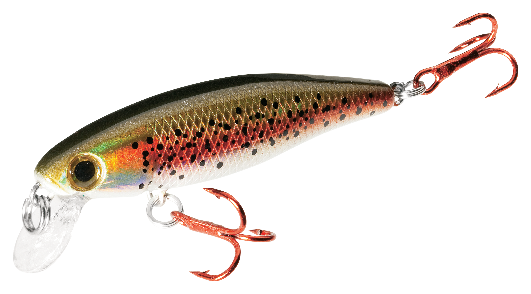 Dynamic Lures Trout Fishing Lure, Multiple BB Chamber Inside, (2) - Size 10  Treble Hooks for Bass, Trout, Walleye, Carp, 1 Count: Buy Online at Best  Price in UAE 