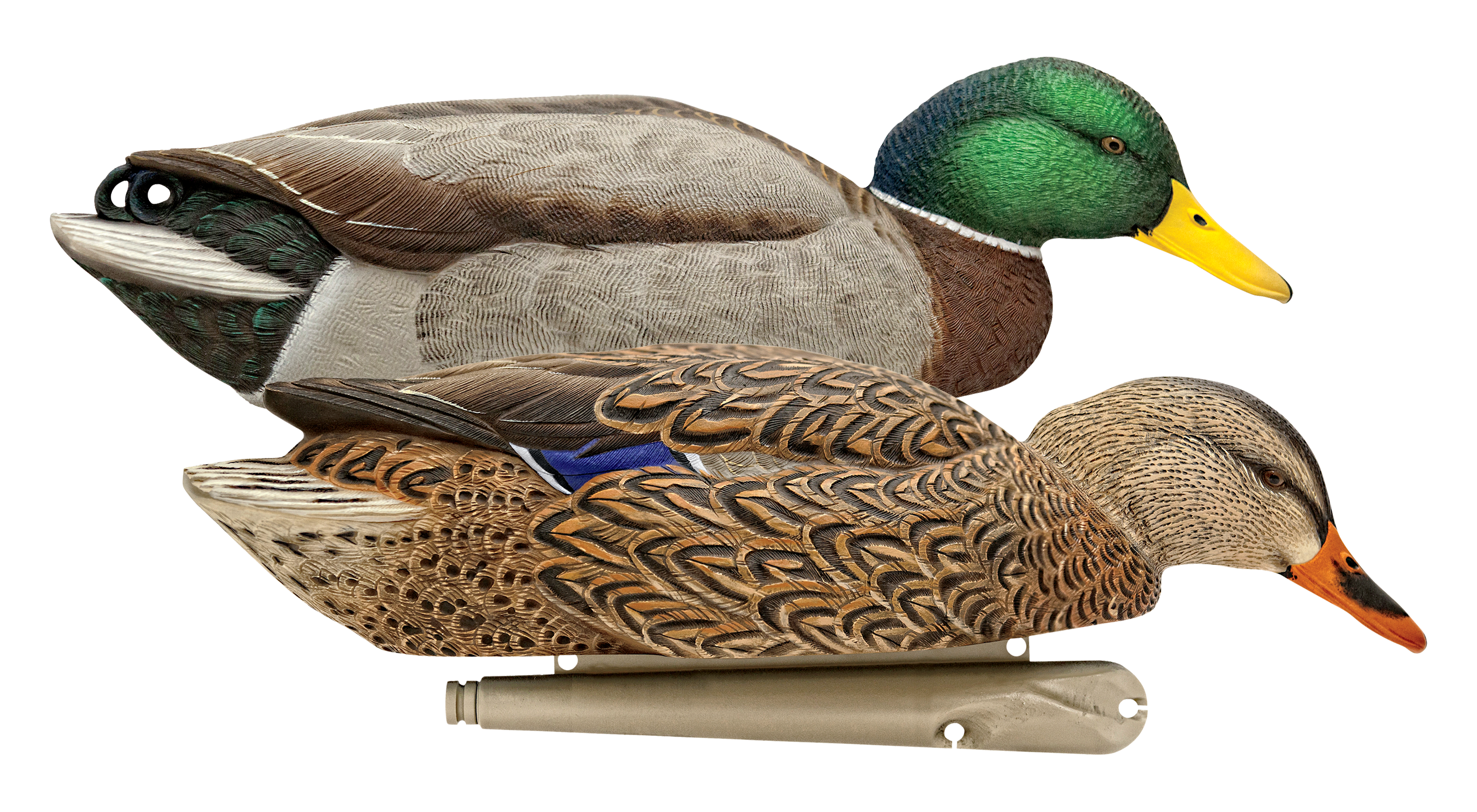 Image of Avian-X Back Water Mallard Duck Decoys 6 Pack
