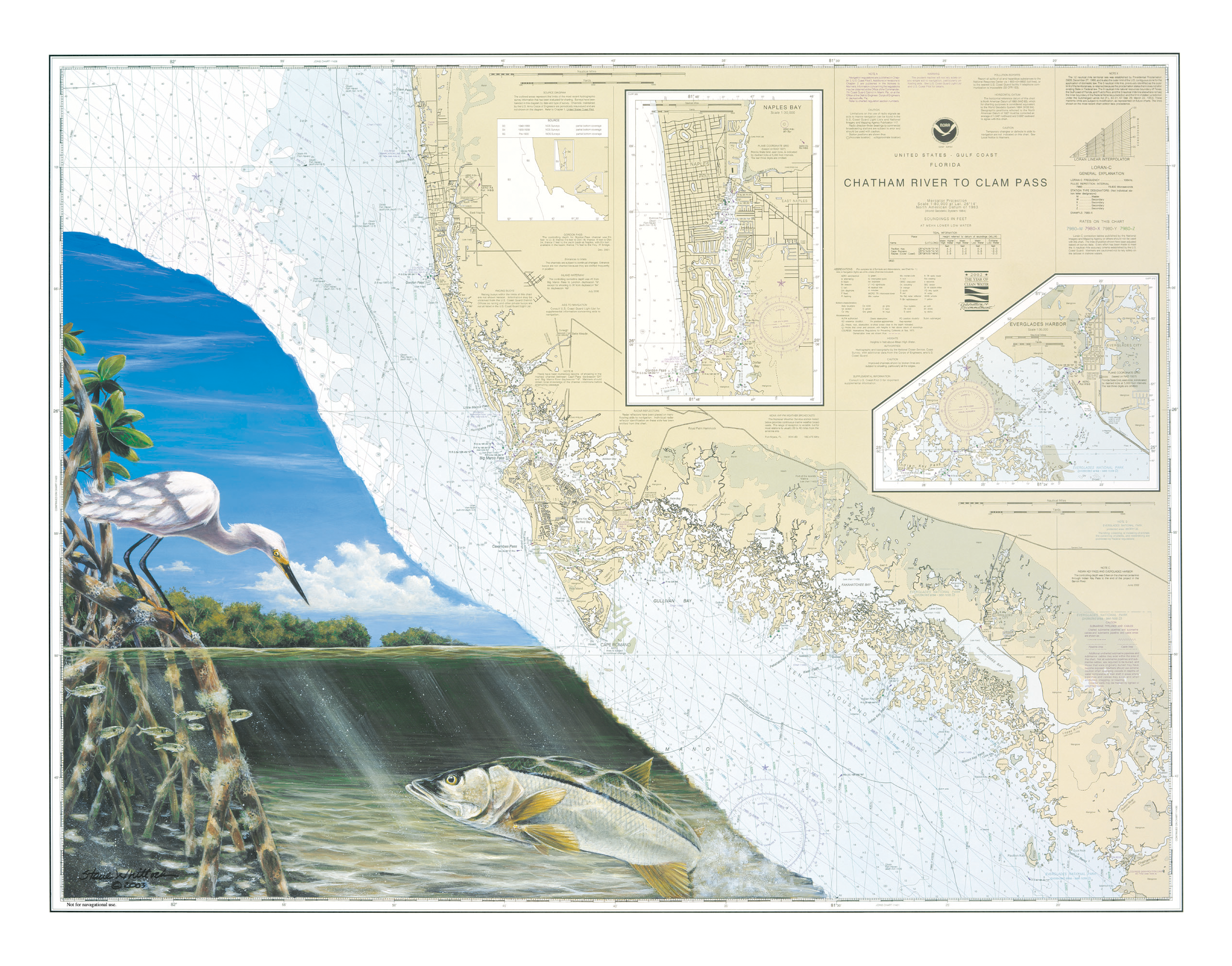 Steve Whitlock Everglades Snook Nautical Chart Art