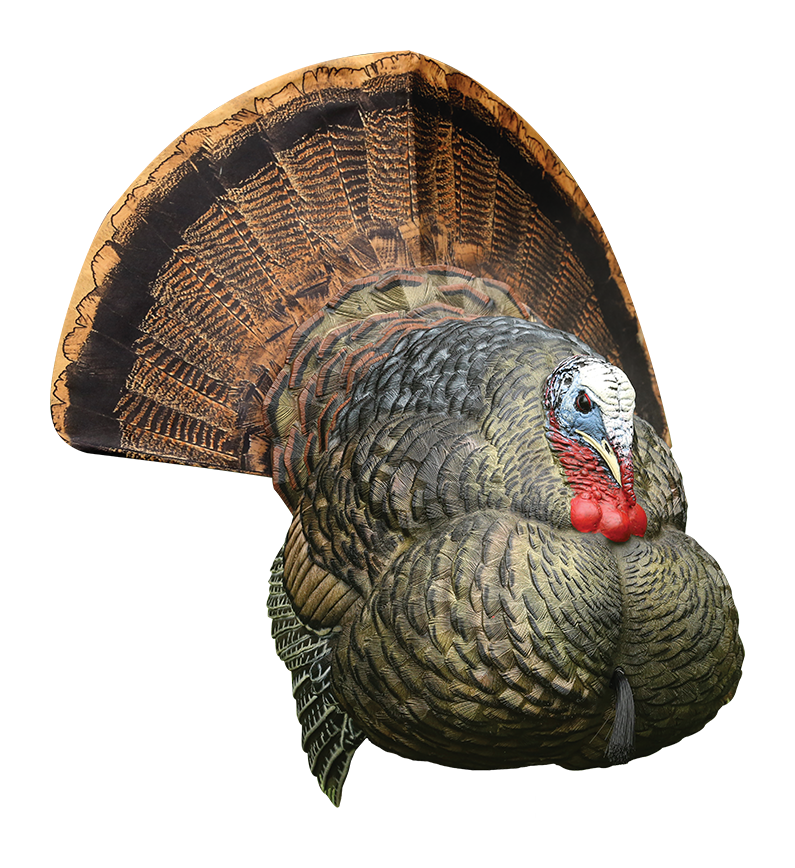 AVIAN-X LCD Strutter Turkey Decoy