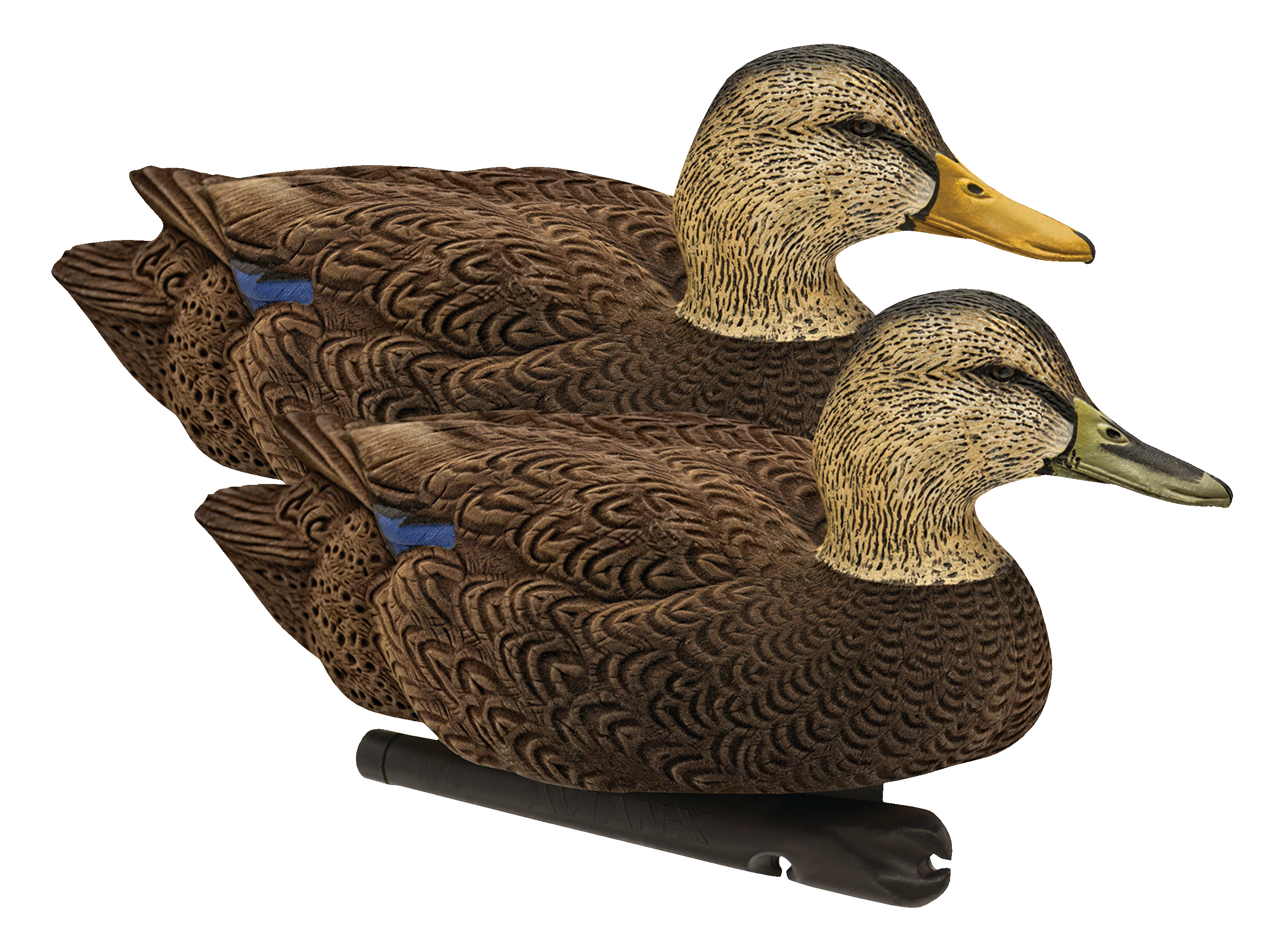 Image of Avian-X Topflight Black Duck Decoys