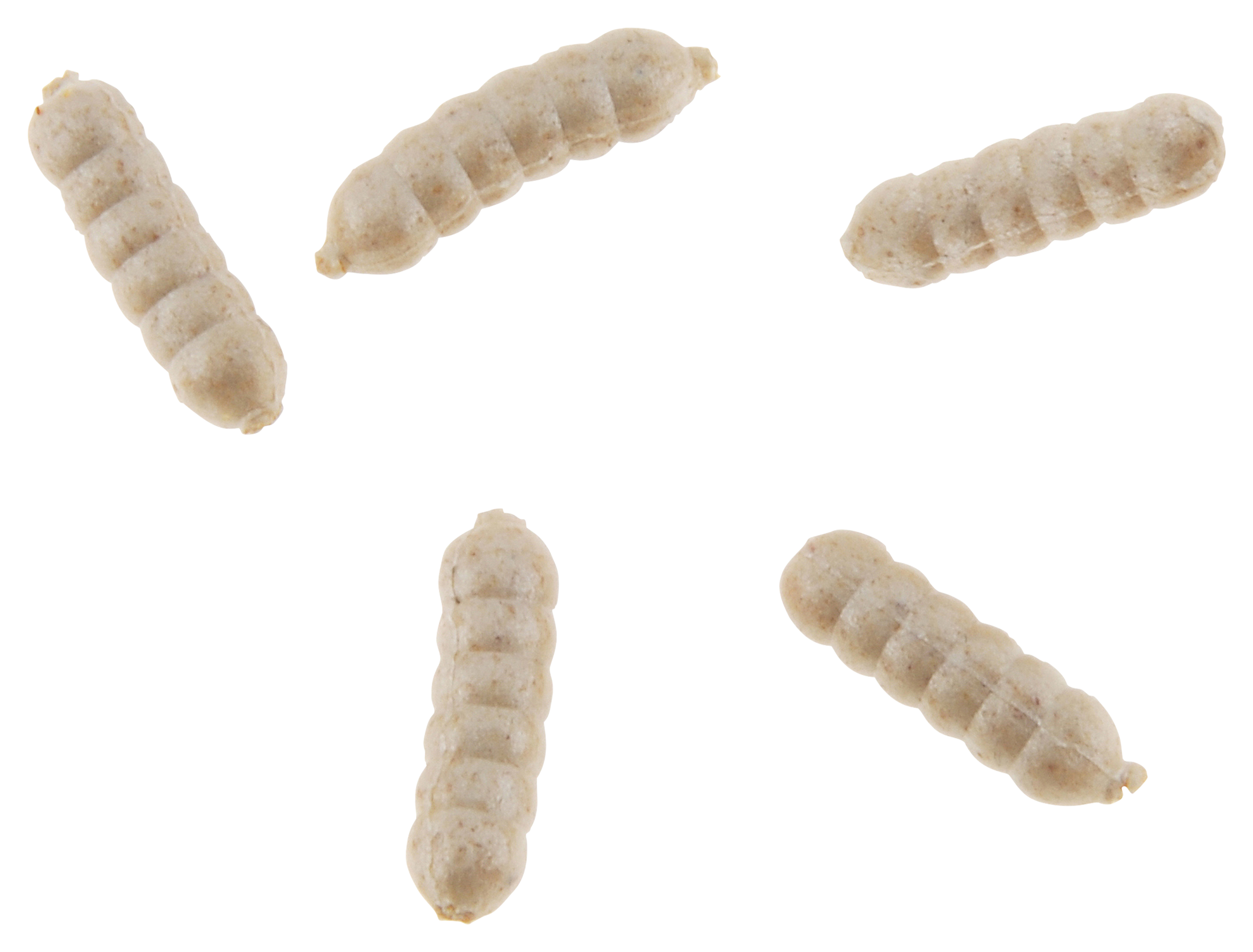 BERKLEY POWERBAIT Power Wigglers