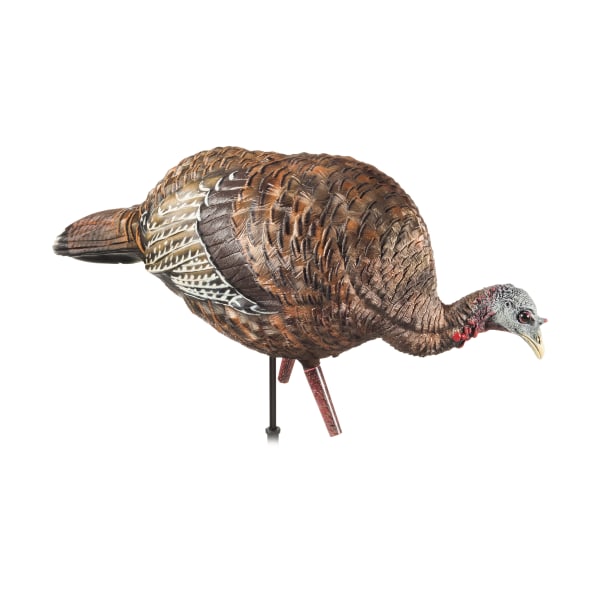 Avian-X LCD Feeder Hen Turkey Decoy