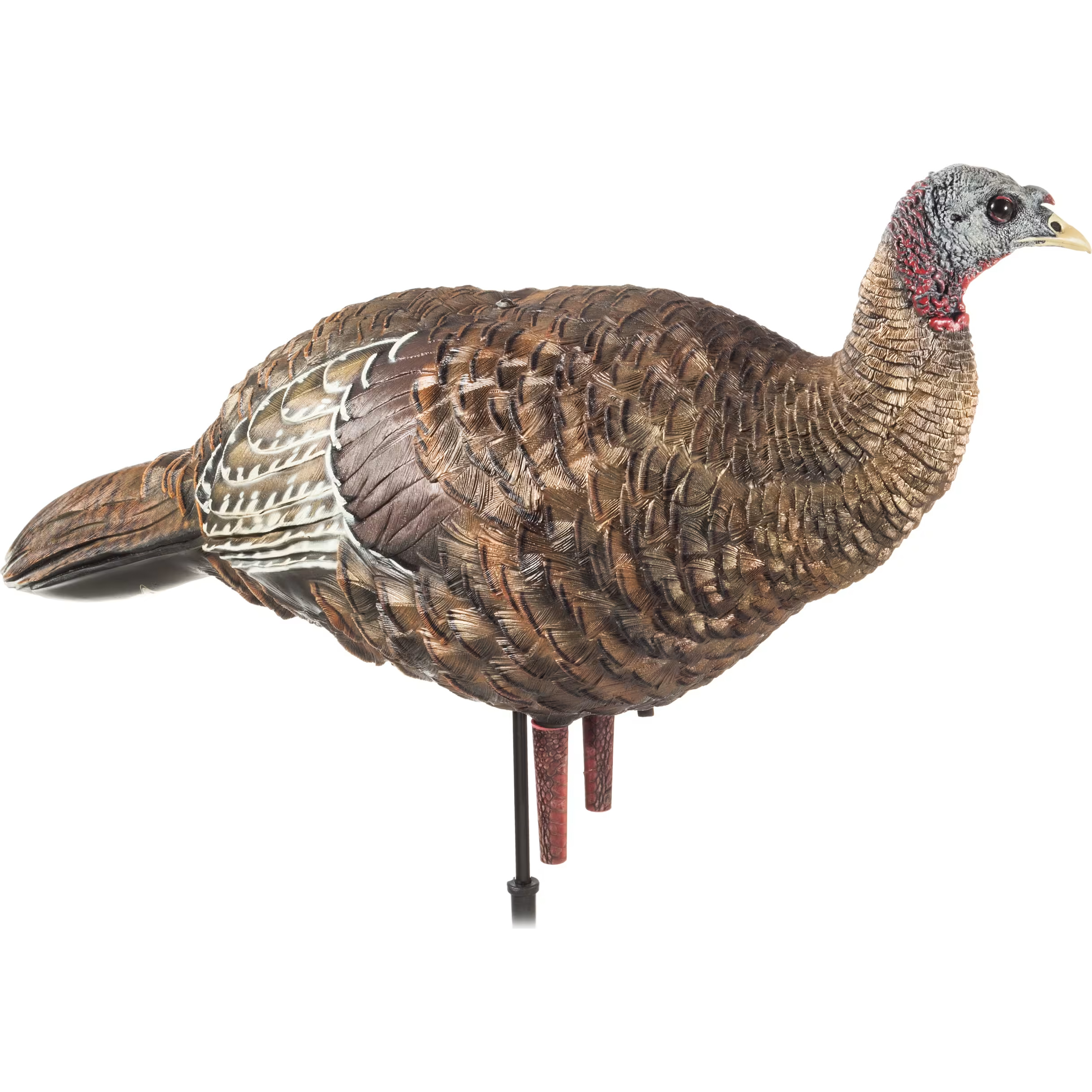 AVIAN-X LCD Breeder Hen Turkey Decoy