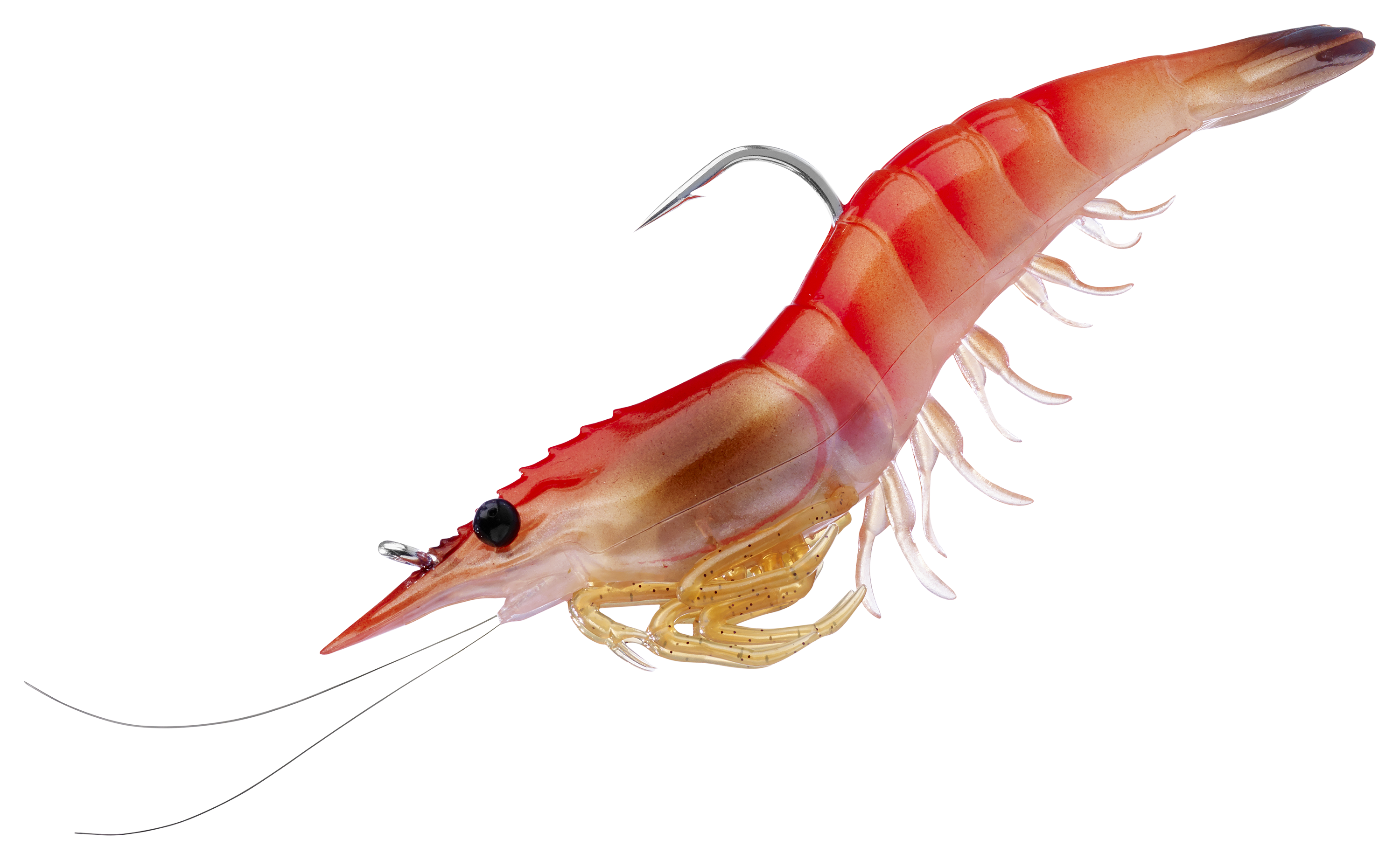 LIVETARGET Shrimp
