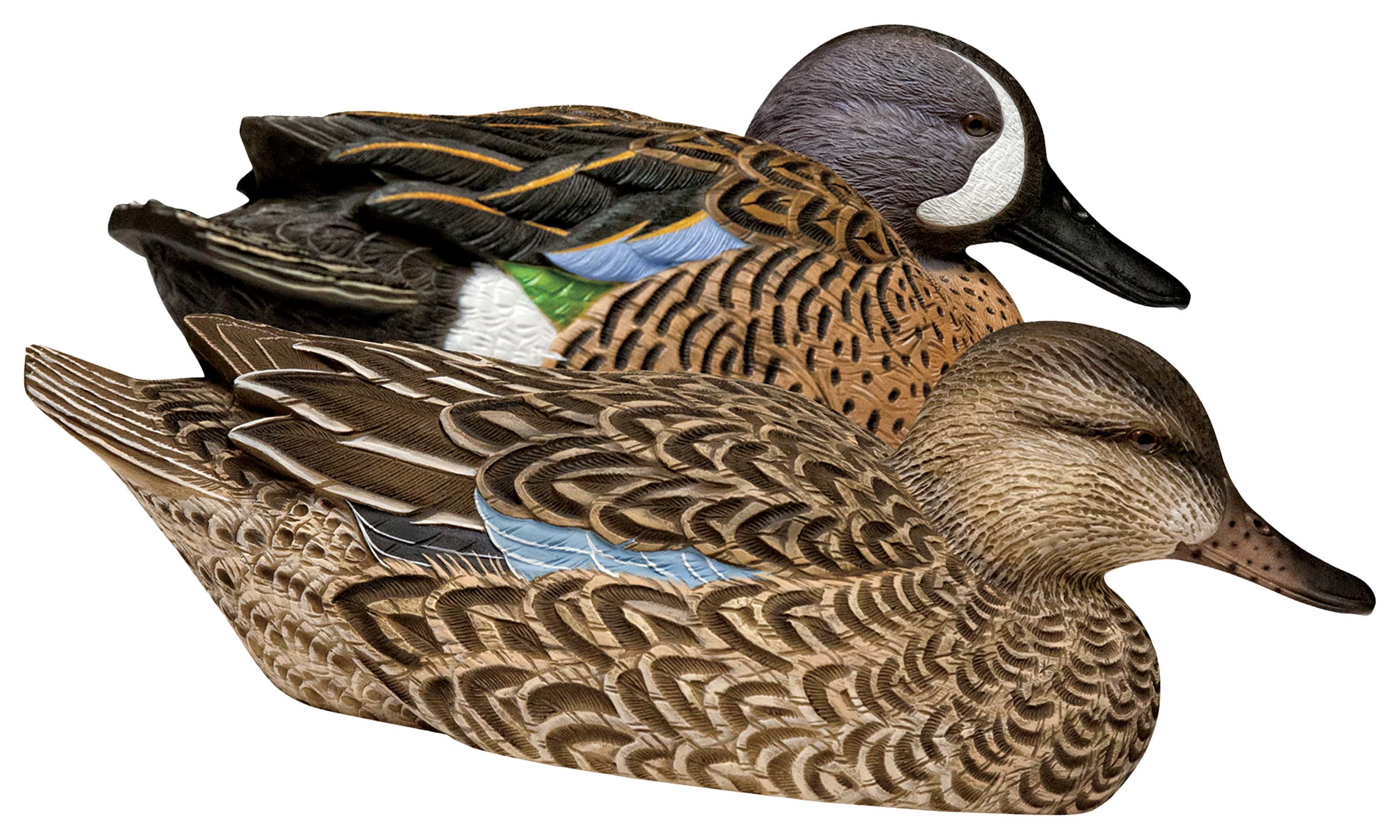 AVIAN-X Topflight Blue-Winged Teal Duck Decoys 6 Pack
