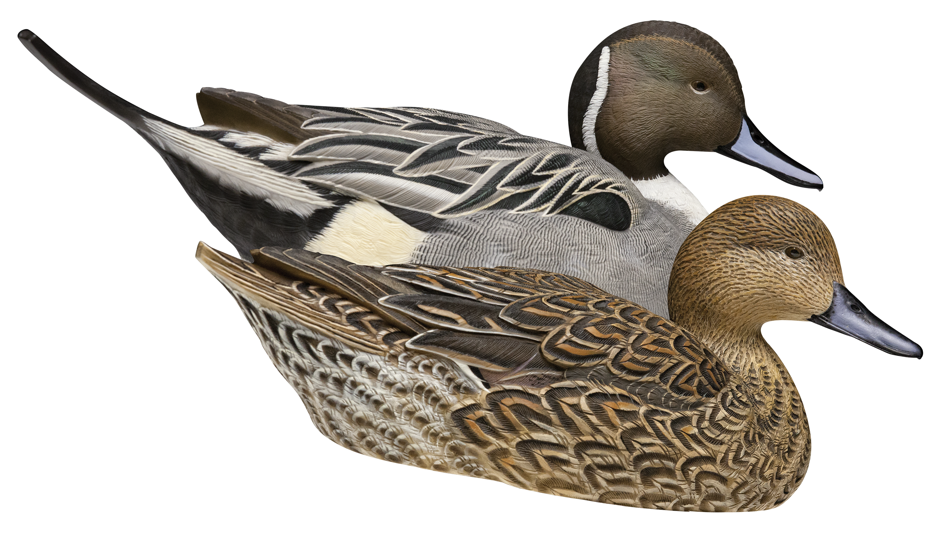 Avian-X Topflight Pintail Duck Decoys