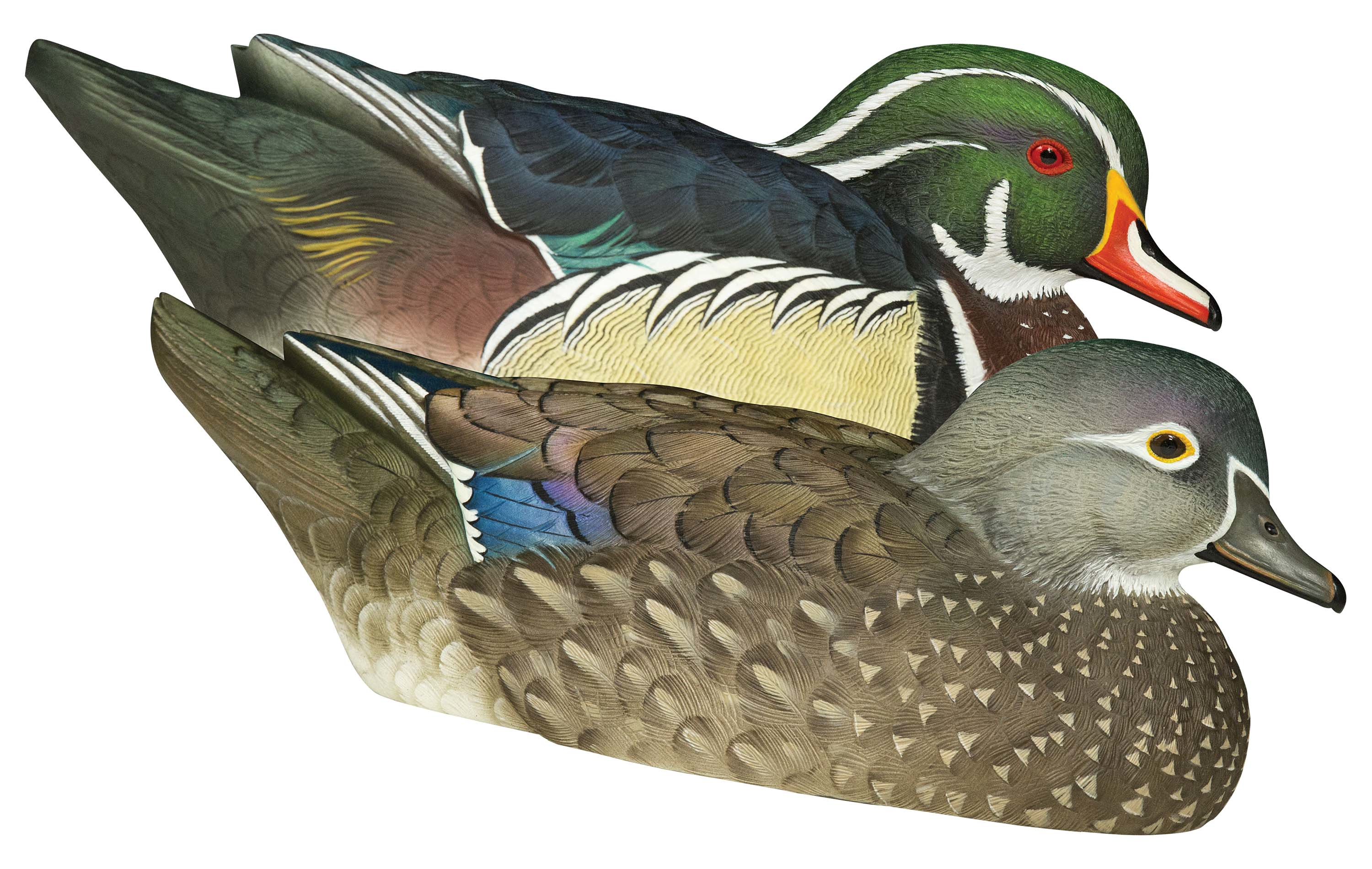 AVIAN-X Topflight Wood Duck Decoys 6 Pack