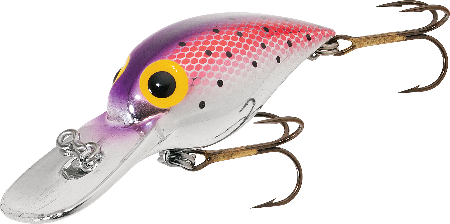 Best Salmon Lures For Rivers: Secret Lures Used By Guides