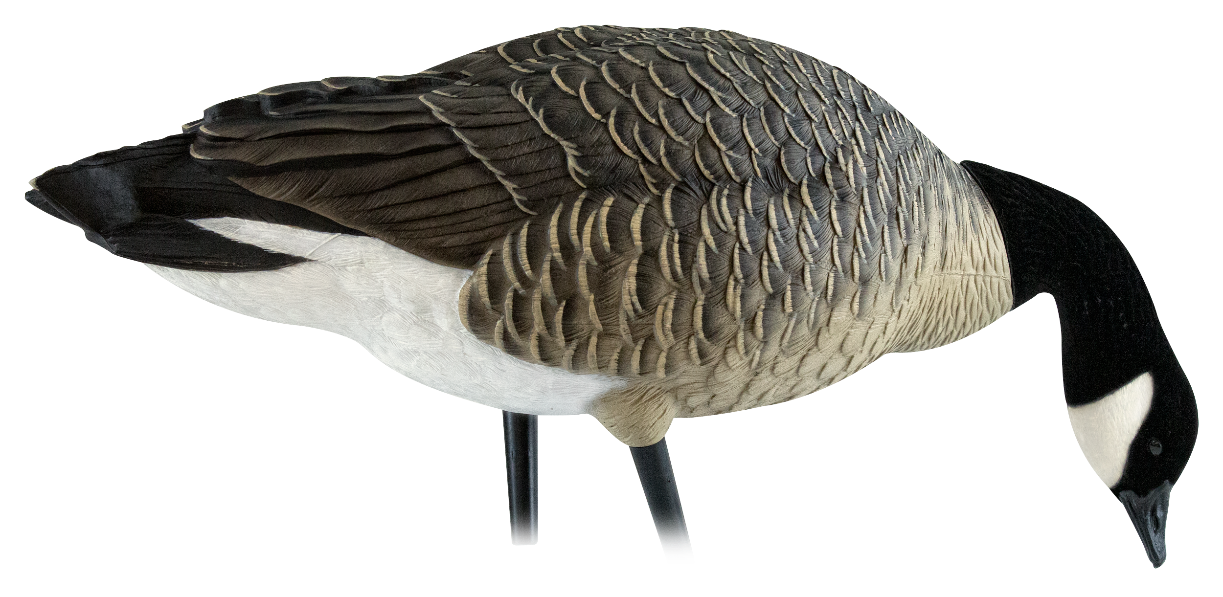 Image of Avian-X AXP Lesser Canada Goose Decoy Feeder Pack