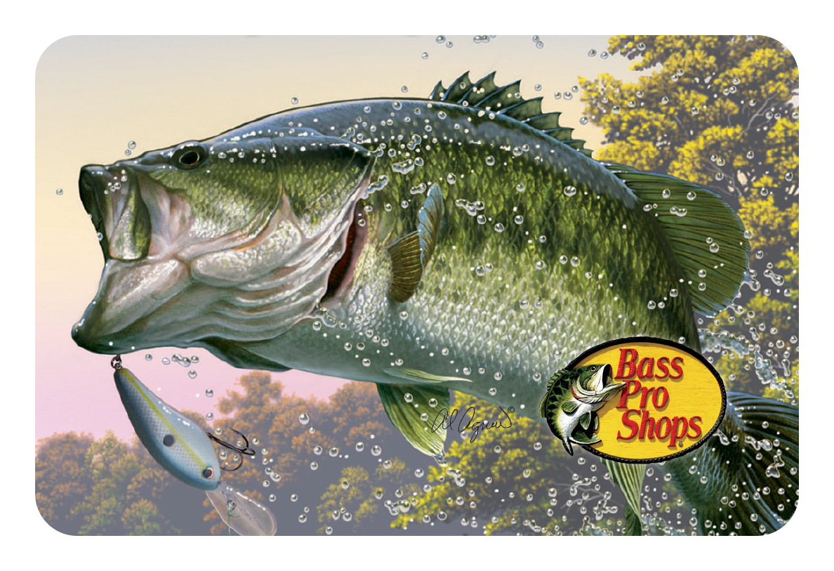 Bass Pro Shops Fishing Gift Card - $25