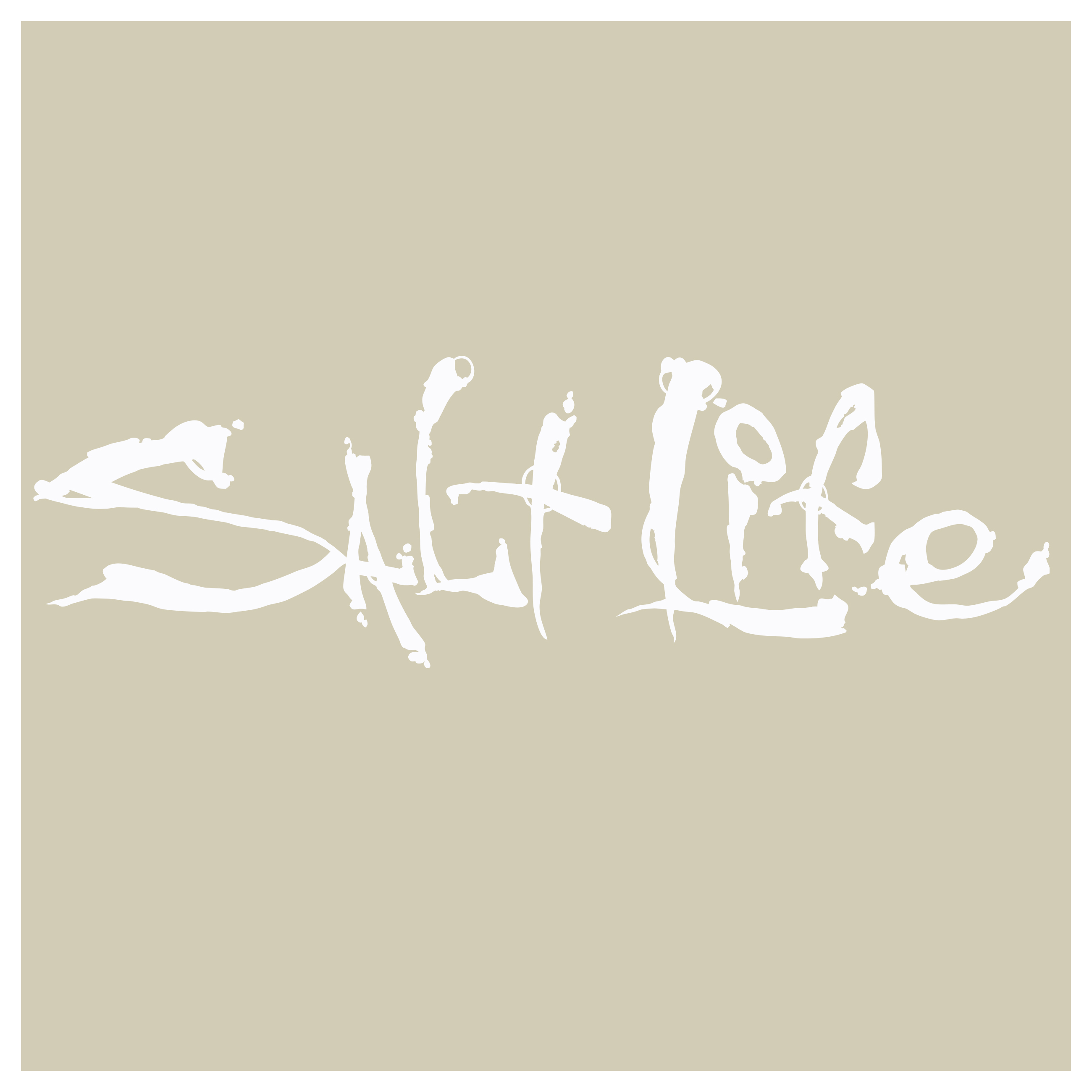 Salt Life Signature Logo Decal