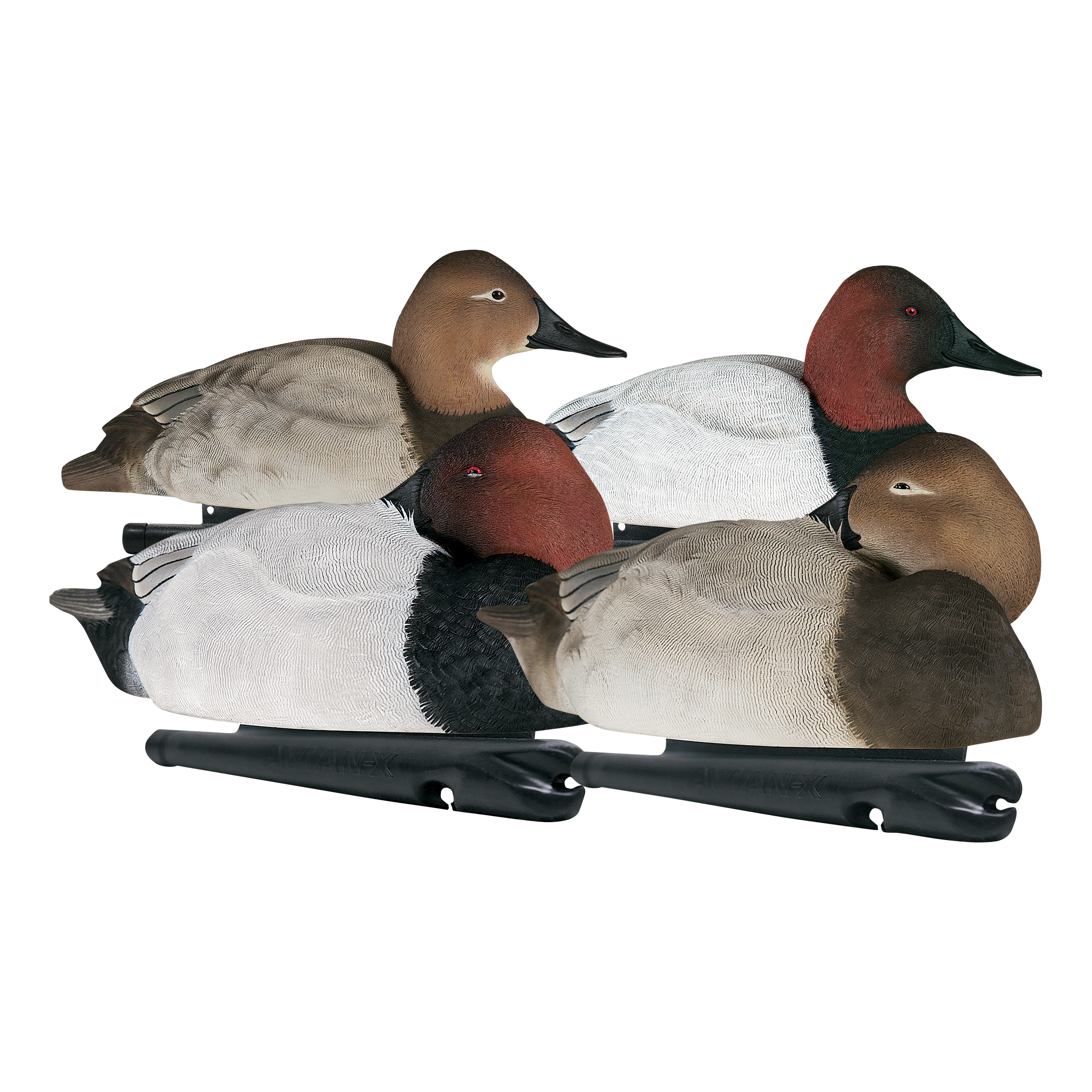 TopFlight Canvasback Duck Decoys 6 Pack