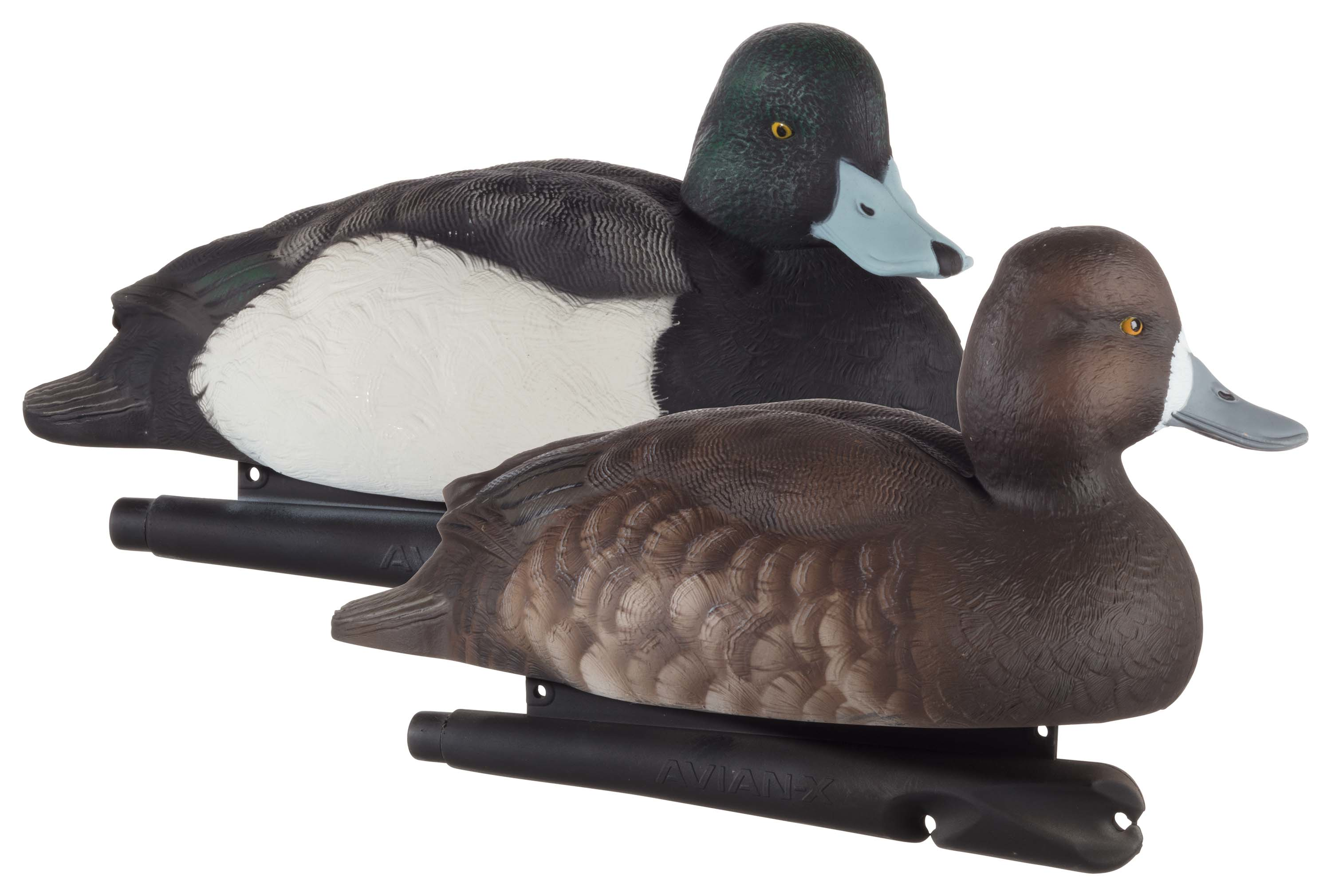 AVIAN-X Topflight Bluebill Duck Decoys 6 Pack