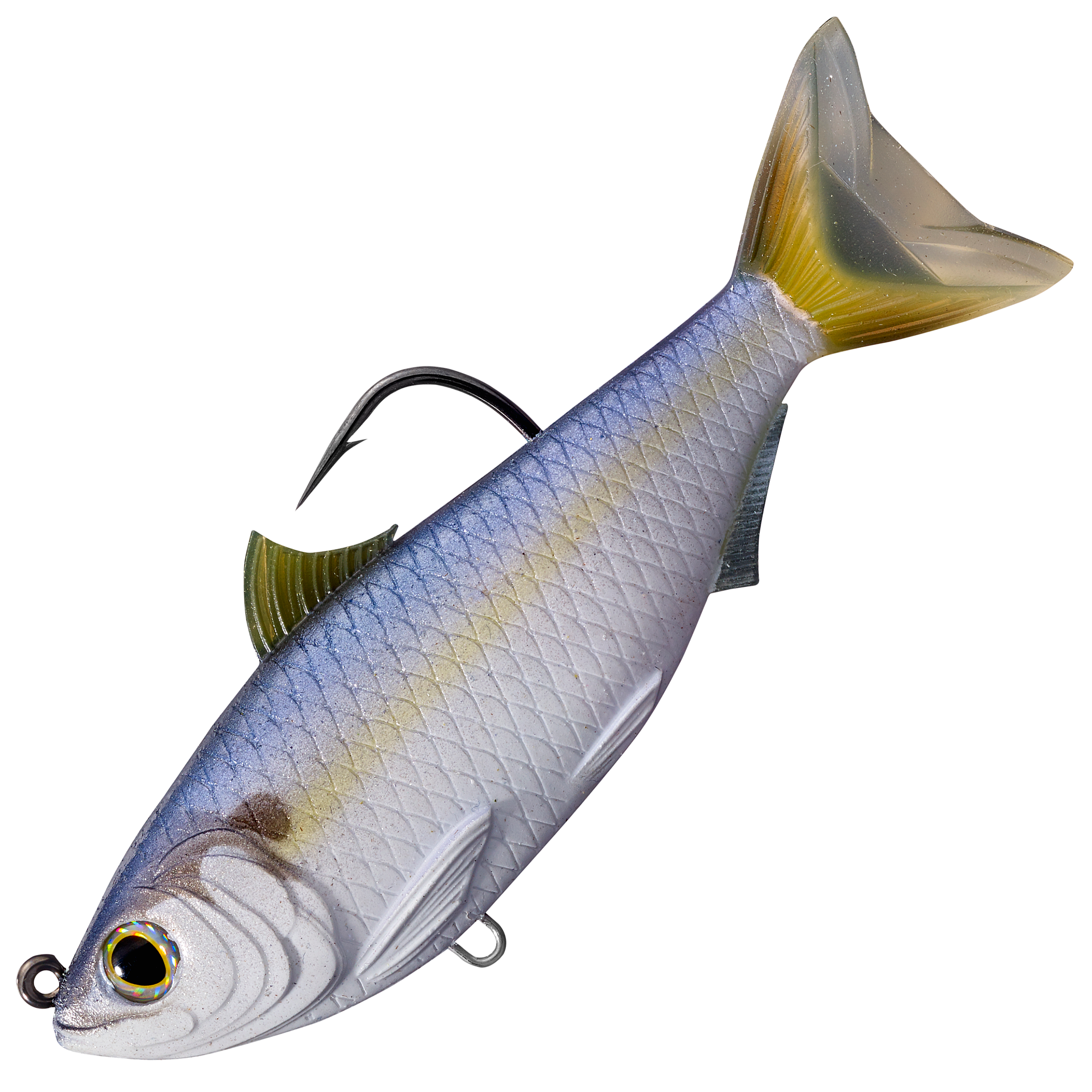 Know Your Baitfish Threadfin Shad - Rambling Angler Outdoors