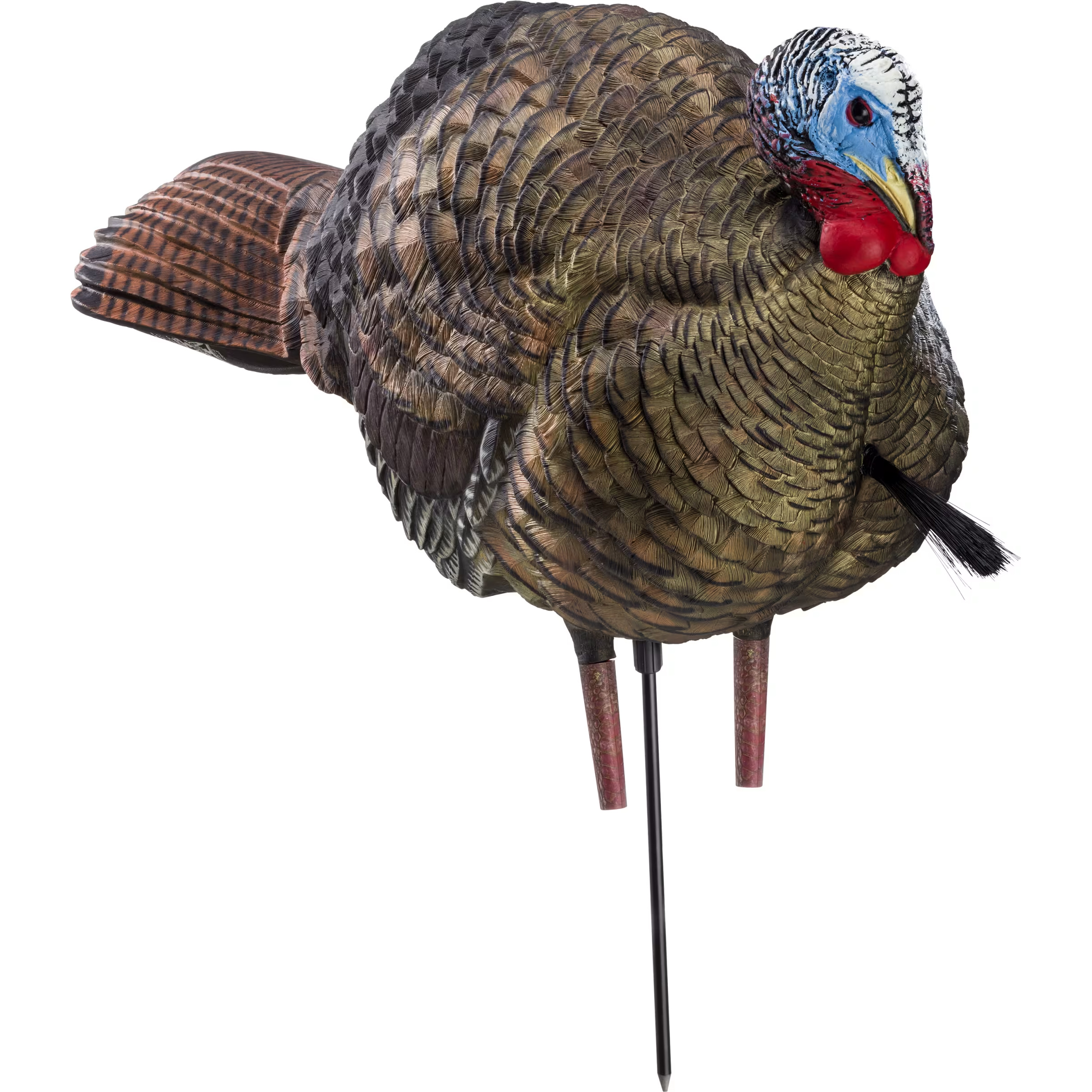 AVIAN-X LCD 1/2 Strut Jake Turkey Decoy
