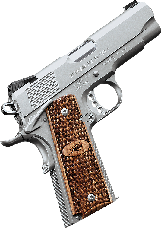 Kimber Stainless Pro Raptor II SemiAuto Pistol with Tritium Night Sights