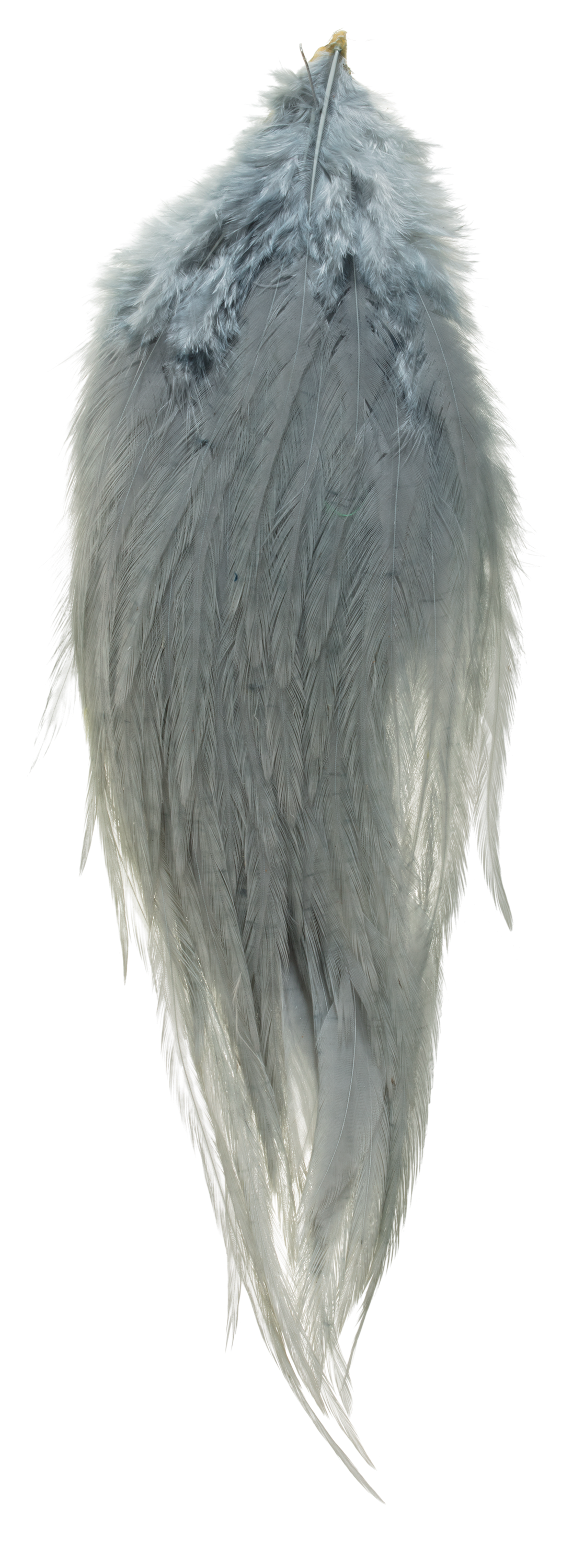 White River Fly Shop Woolly Bugger Hackle - Medium Blue Dun