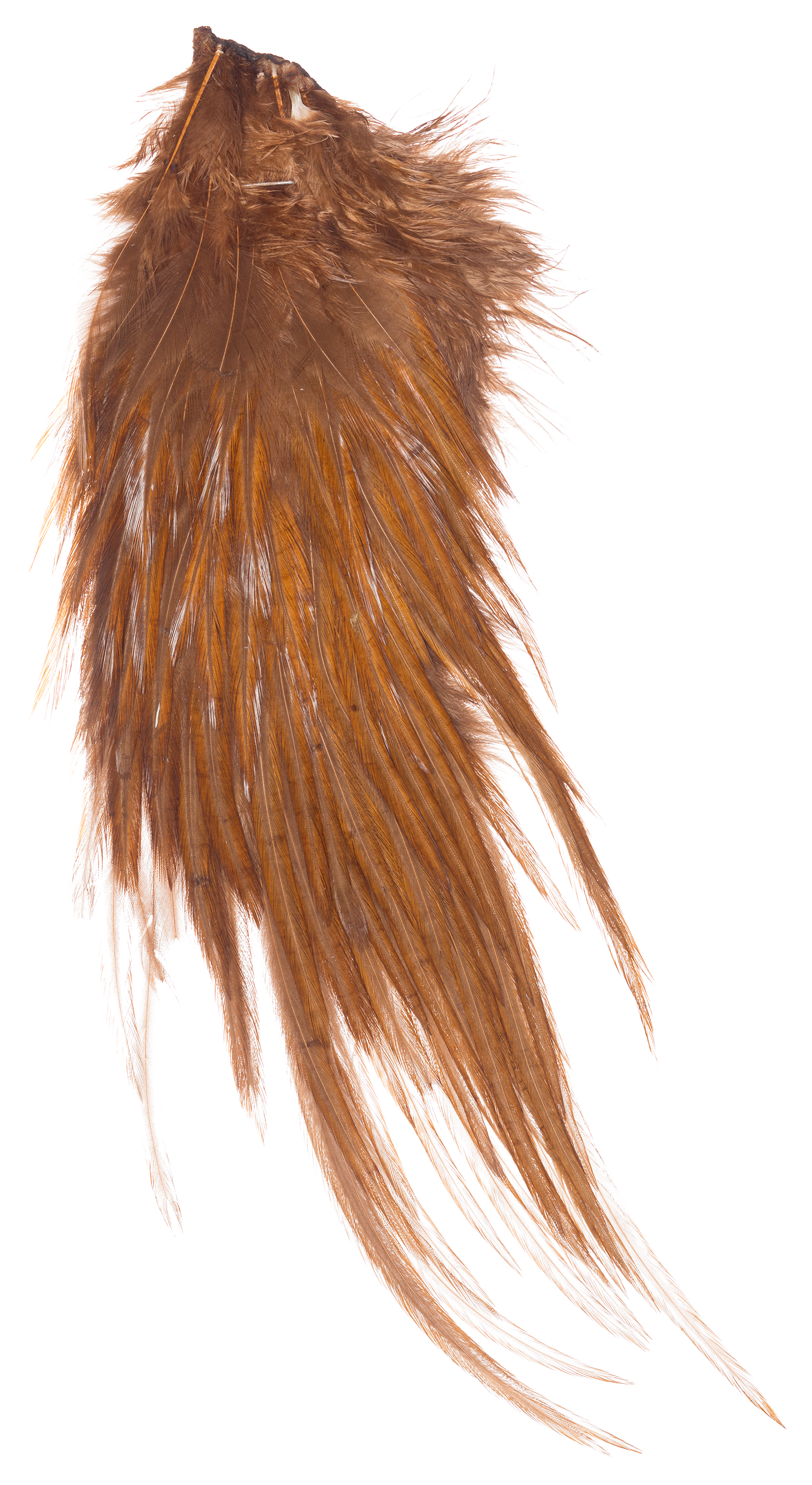 White River Fly Shop Woolly Bugger Hackle Image