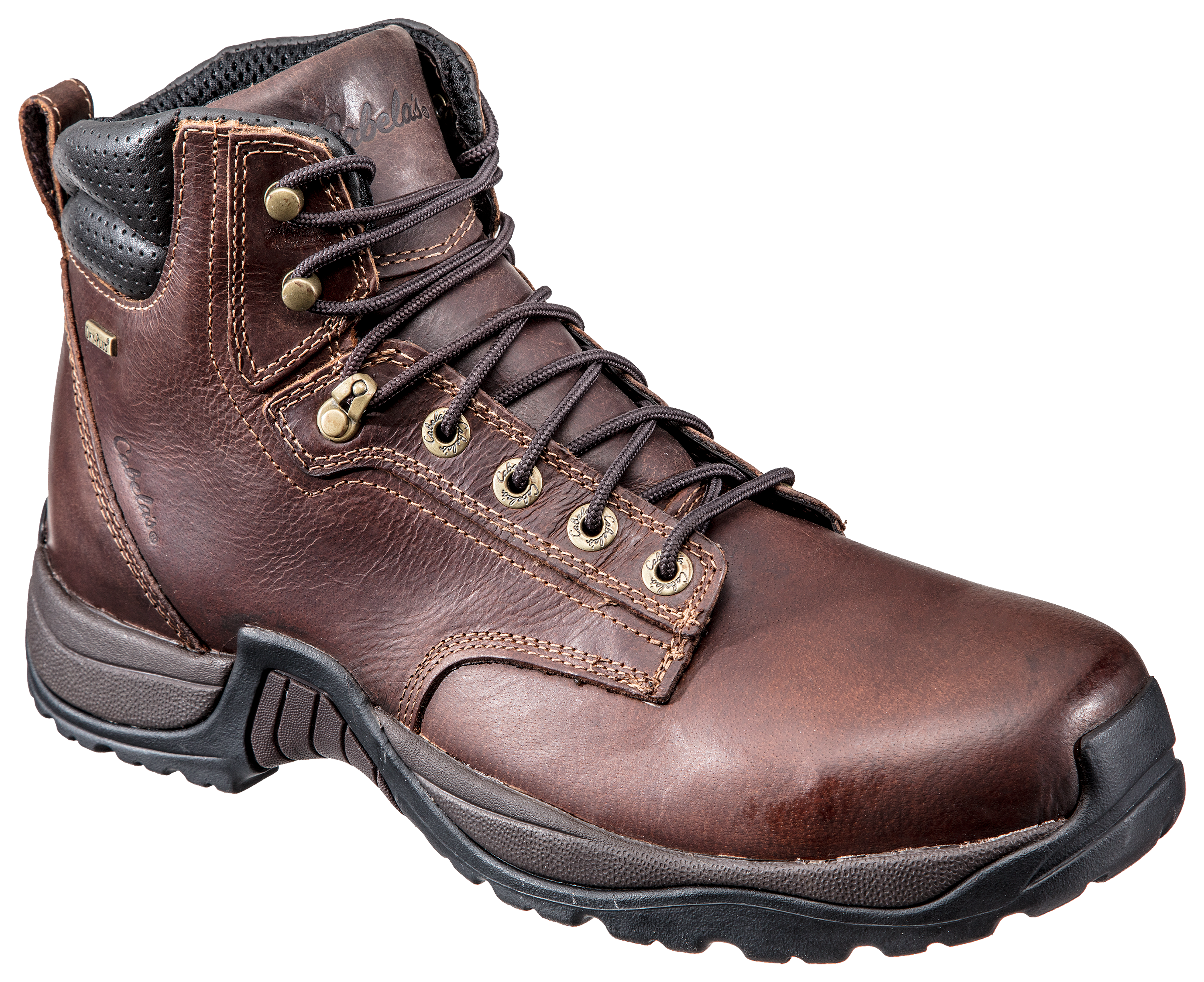 cabela's roughneck boots