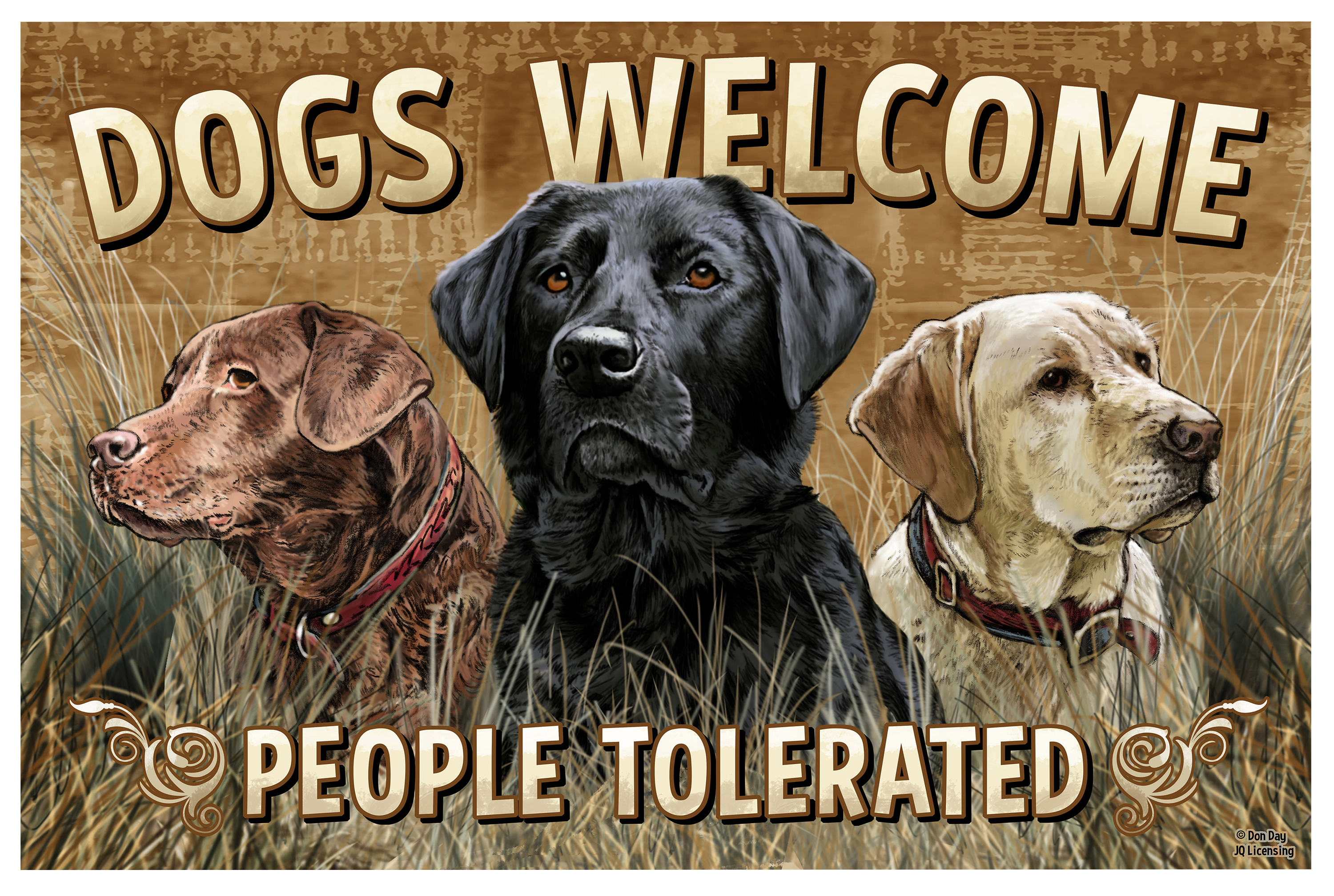 Dogs Welcome People Tolerated Doormat 23.6x15.7 inch, Dogs Welcome Door Mat, Dogs Welcome Entrance Mat Thick Non-Slip, Dogs Welcome Mat, Funny Welcome