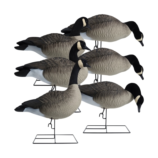 Hardcore Decoys Rugged Series Full Body Canada Goose Decoys TouchDown Pack