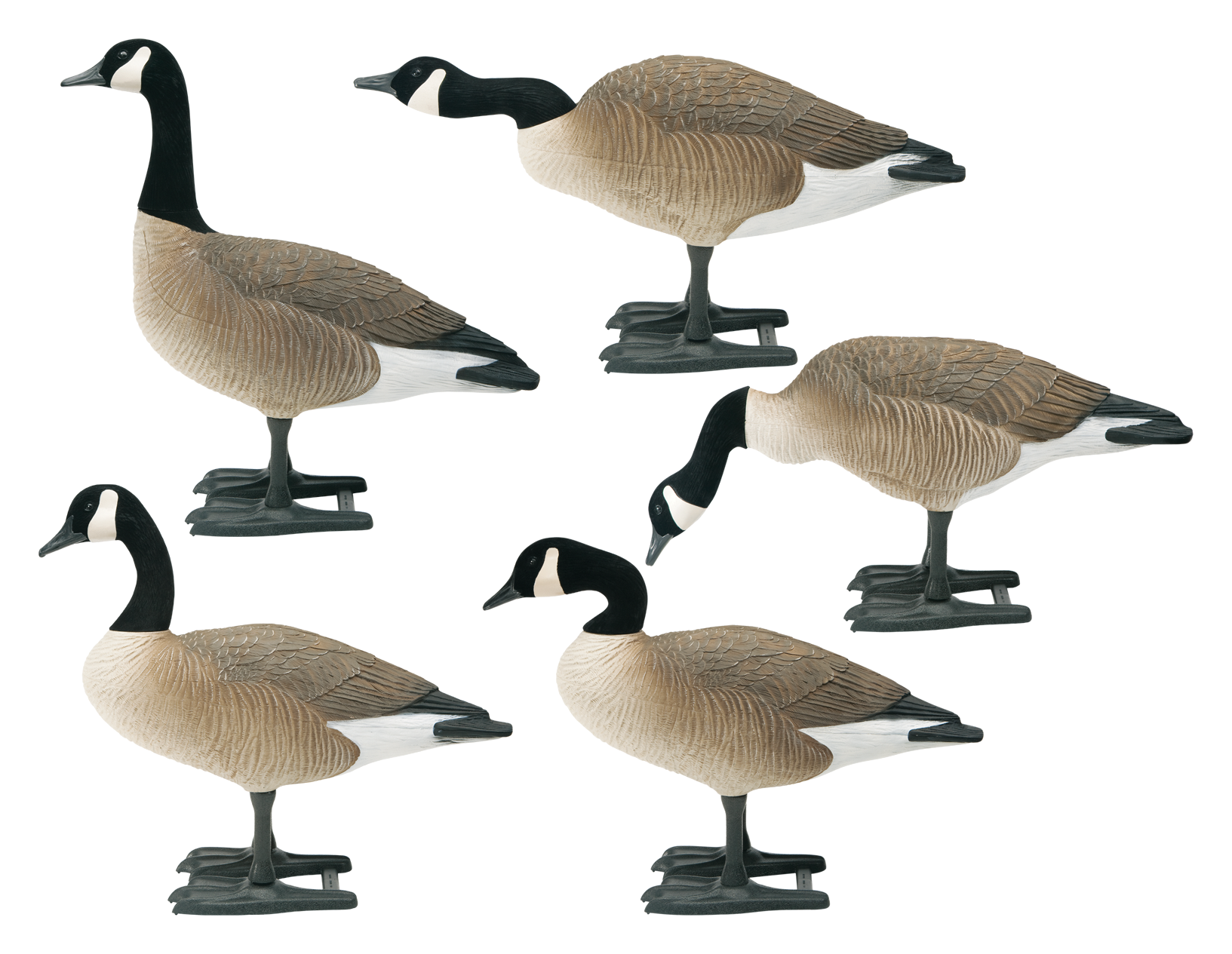 Big Foot B2 Full-Body Canada Goose Decoy Packs - Active