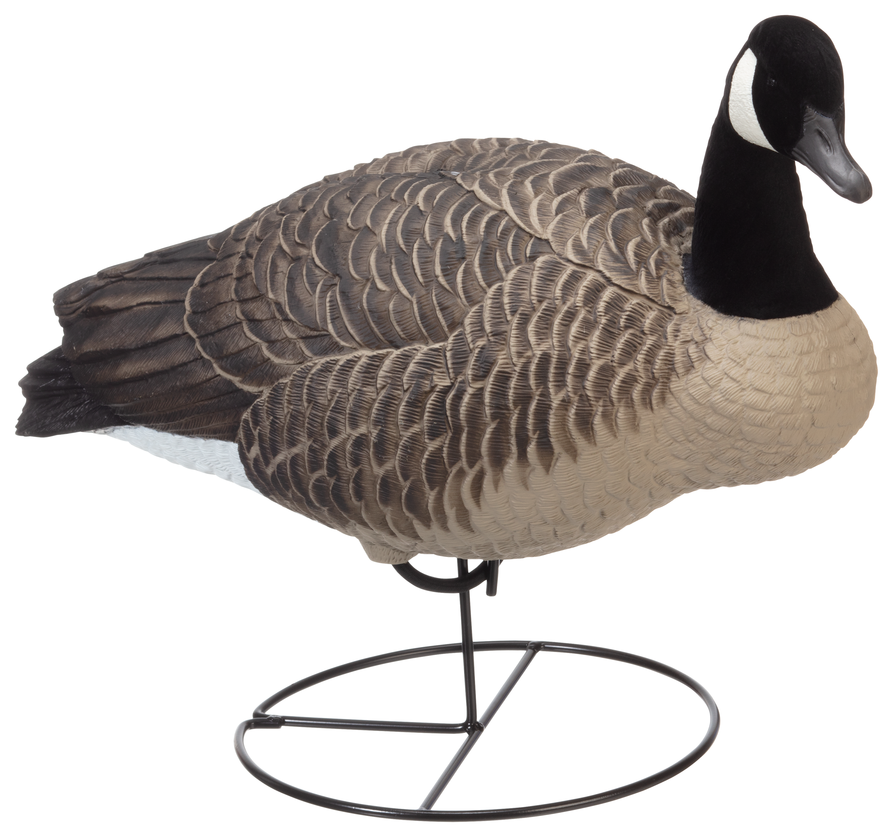 Dakota Decoy Signature Series Mixed Canada Goose Decoys