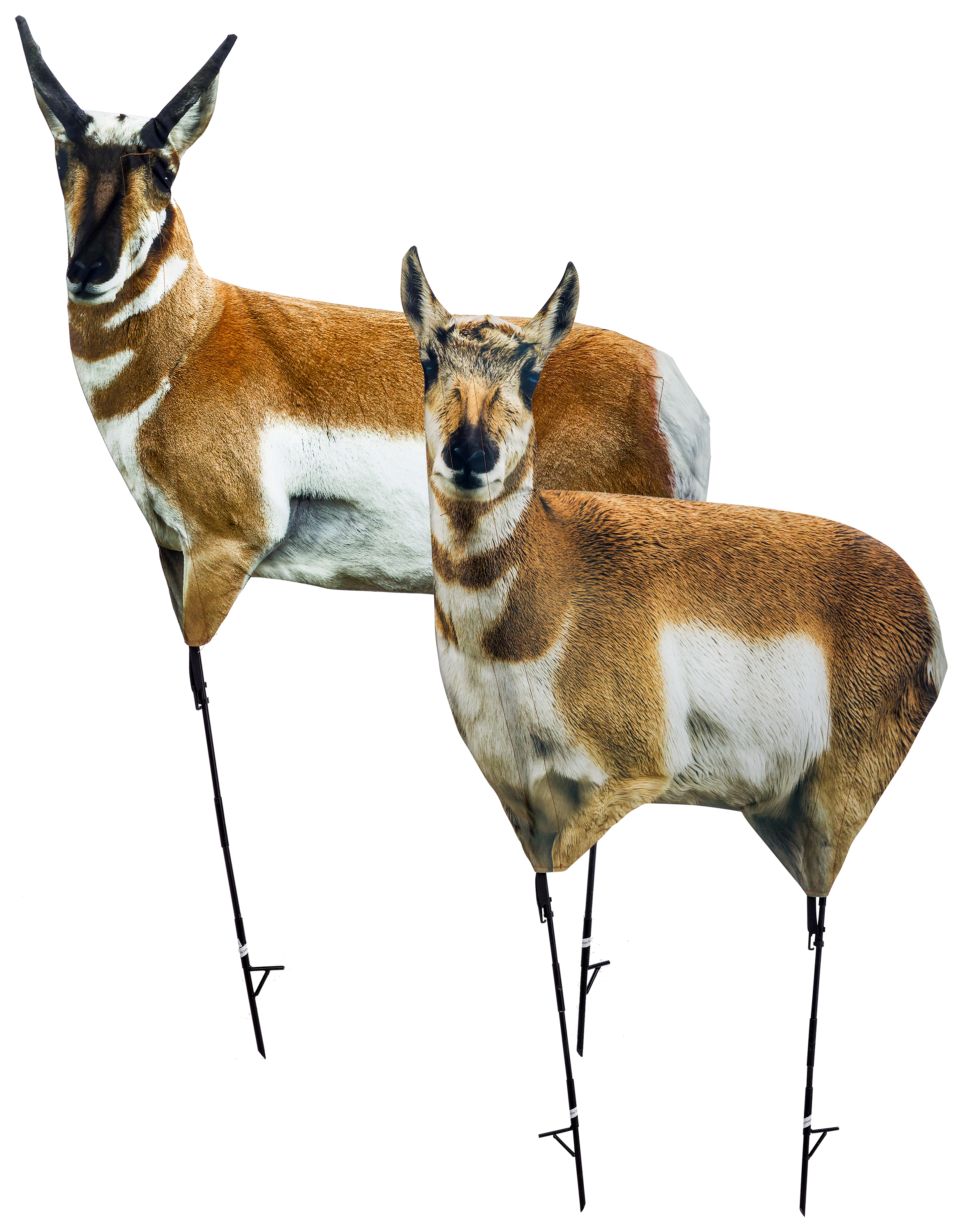 Montana Decoys Antelope Buck and Doe Combo Decoys