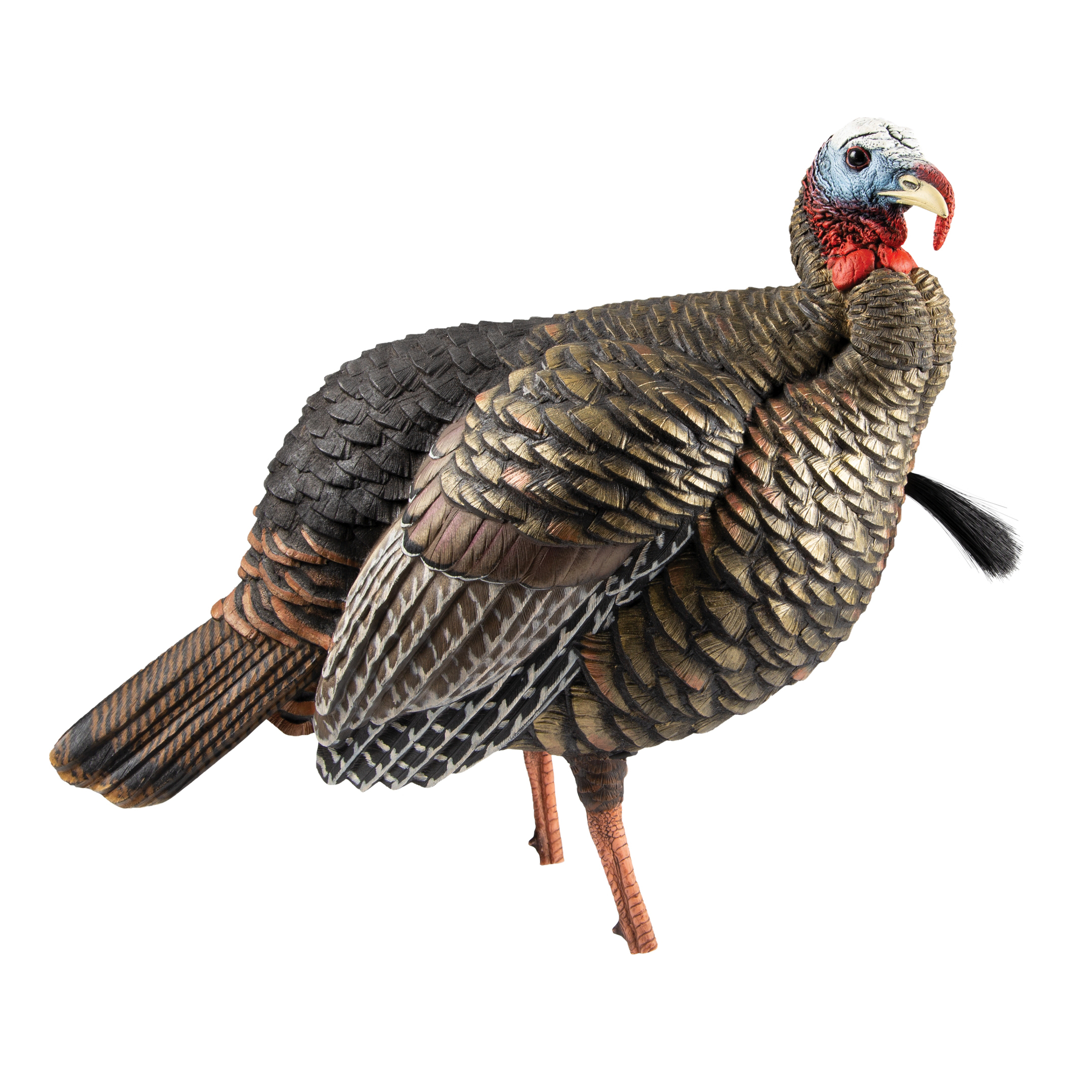 AVIAN-X HDR Jake Turkey Decoy