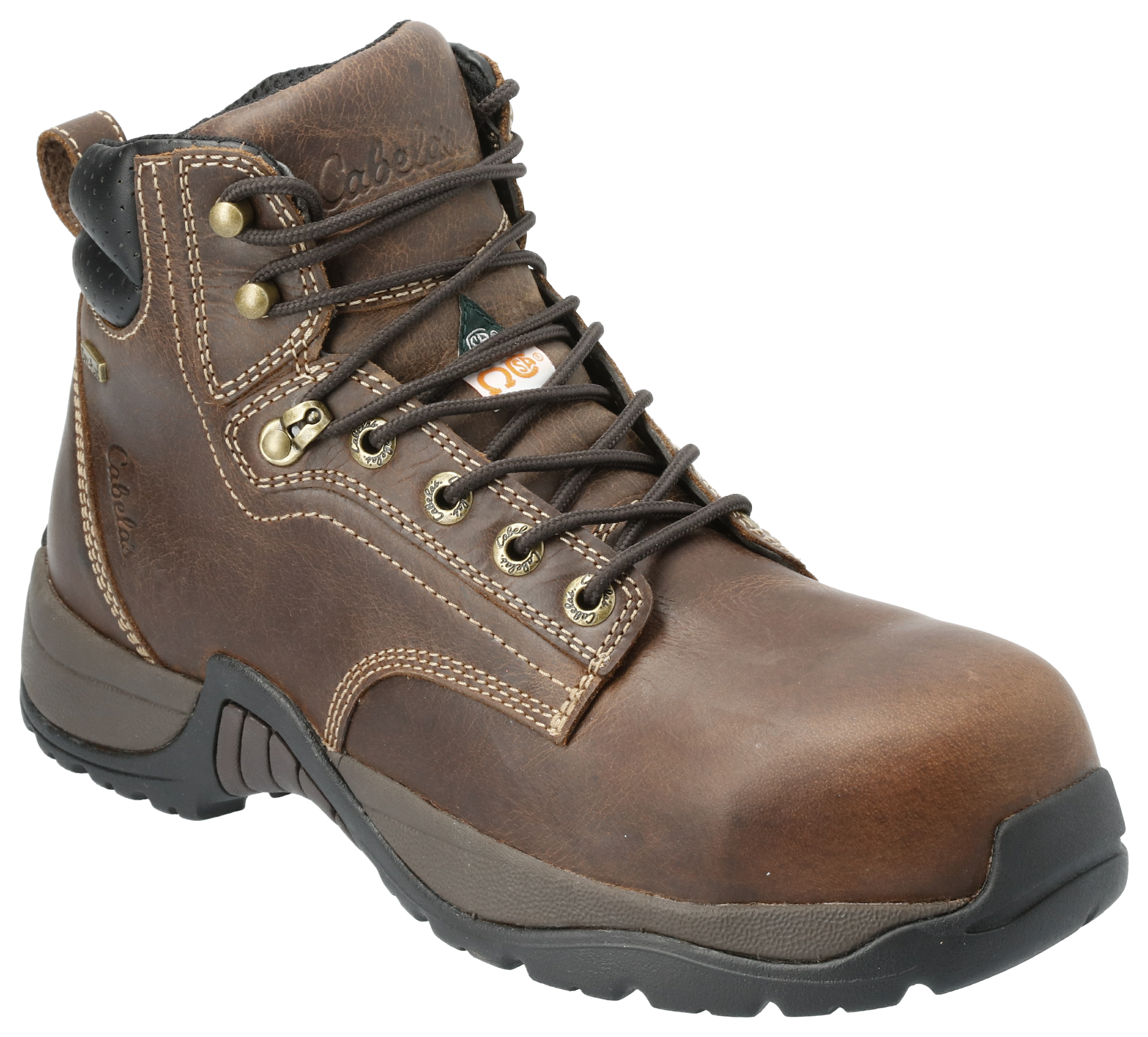 CABELA'S Roughneck Ledger CSA Waterproof Composite Toe Work Boots for Men
