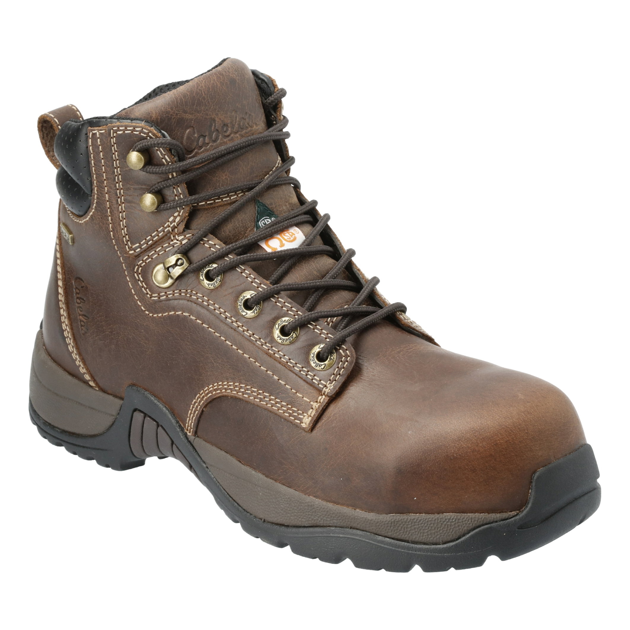 CABELA'S Roughneck Ledger CSA Waterproof Composite Toe Work Boots for Men