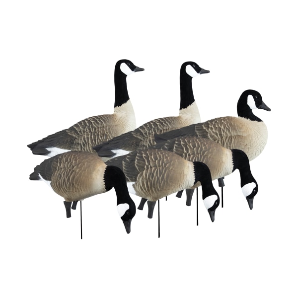 Higdon Outdoors Apex Full Size Canada Goose Decoy Variety Pack