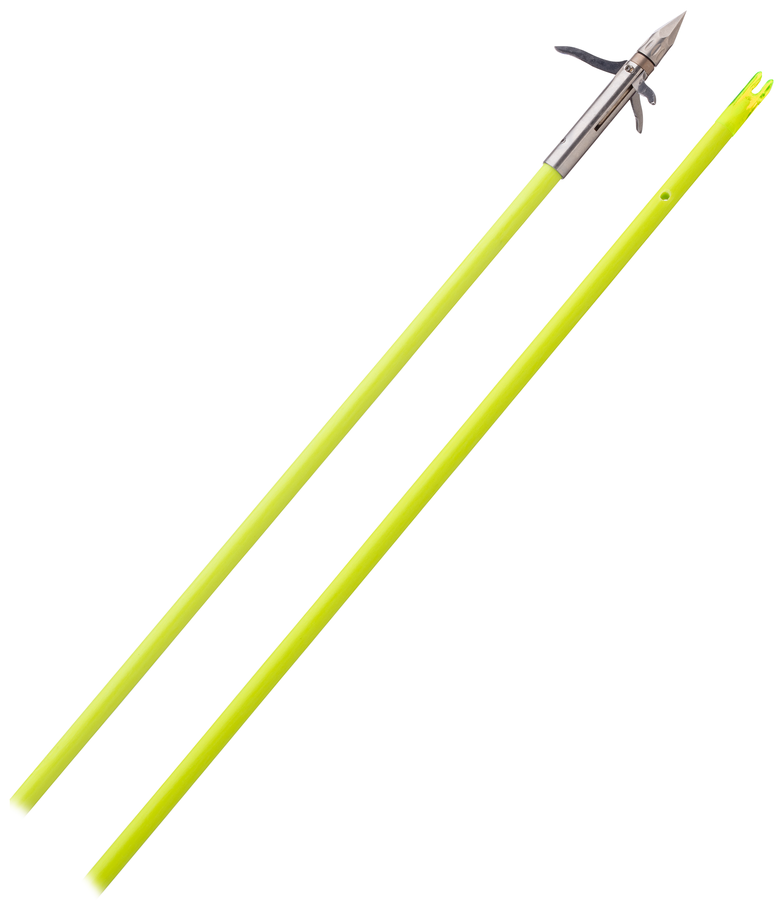 Muzzy Fiberglass Bowfishing Arrow with Iron 2 or 3-blade  Point, Nock and Bottle Slide Installed, Chartreuse : Sports & Outdoors