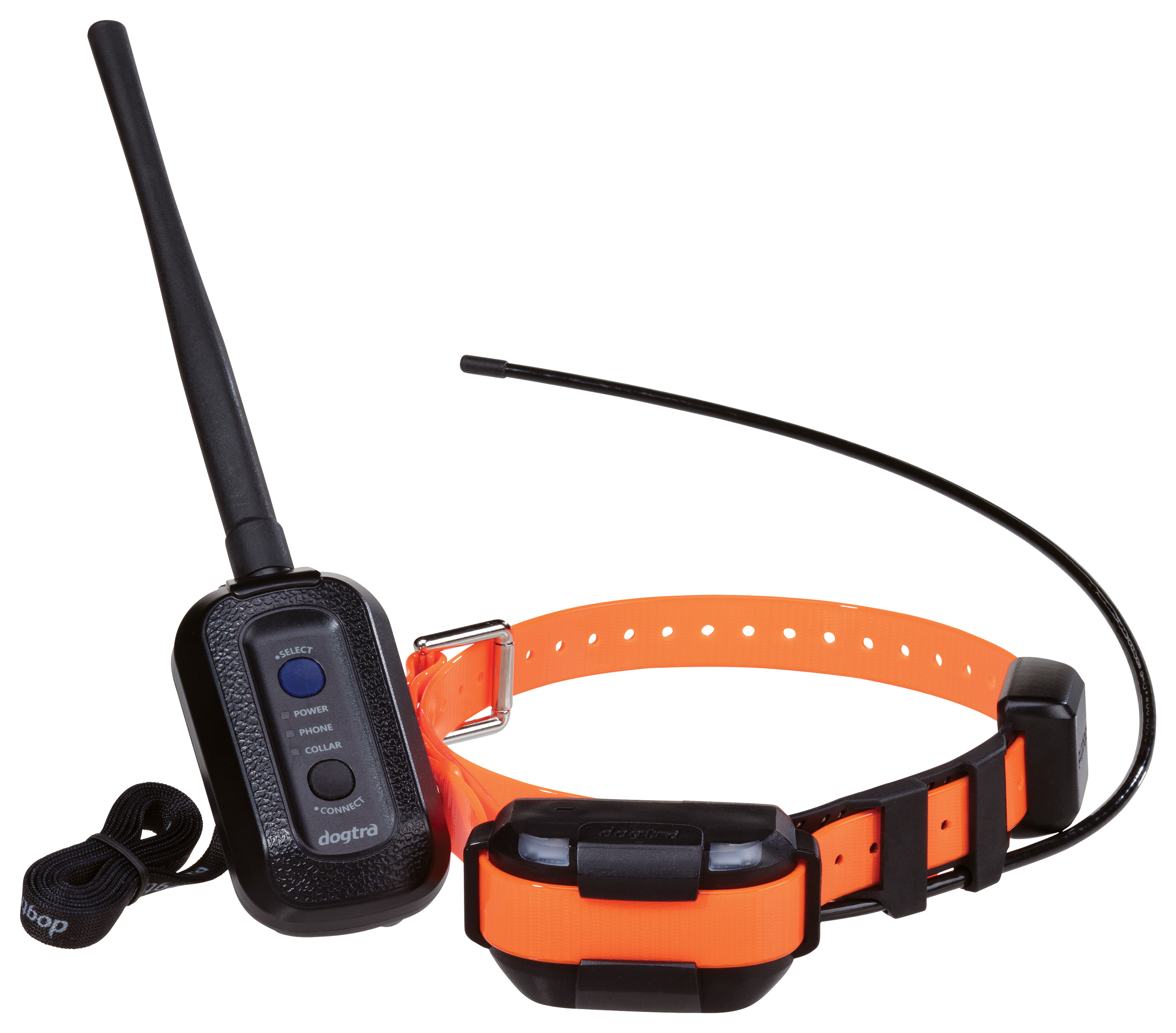 London morgue Sanselig Dogtra Pathfinder Mini E-Collar GPS Dog Tracking and Training Collar | Bass  Pro Shops