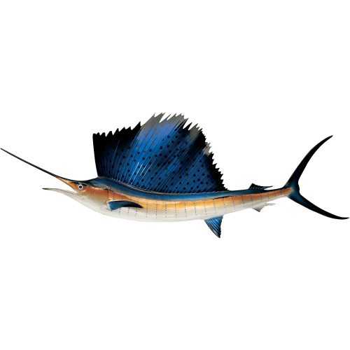 Cabela's Fish Mount Saltwater Replica Sailfish