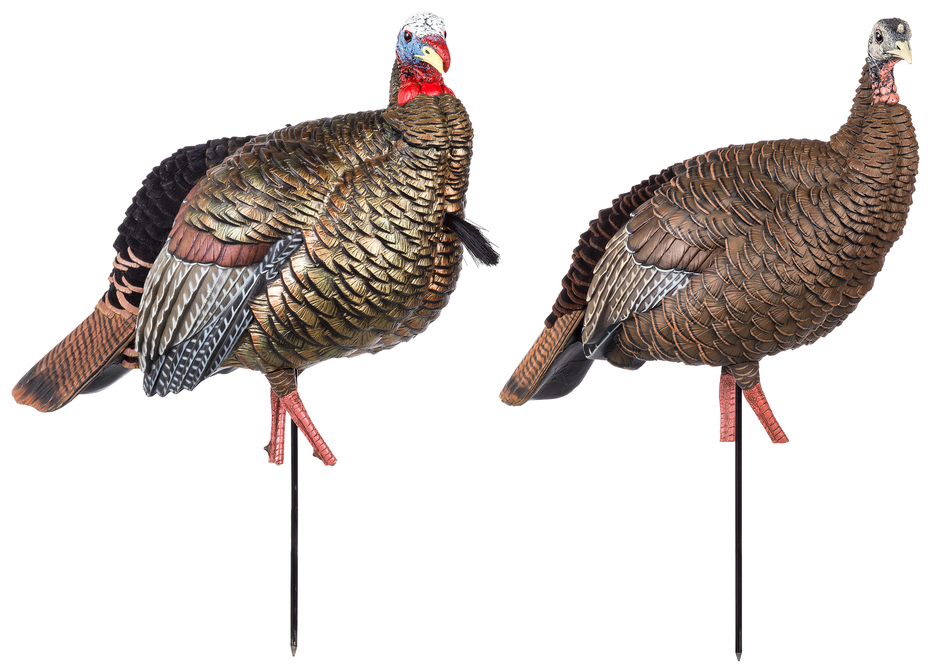 Avian-X HDR Jake and Hen Turkey Decoy Combo