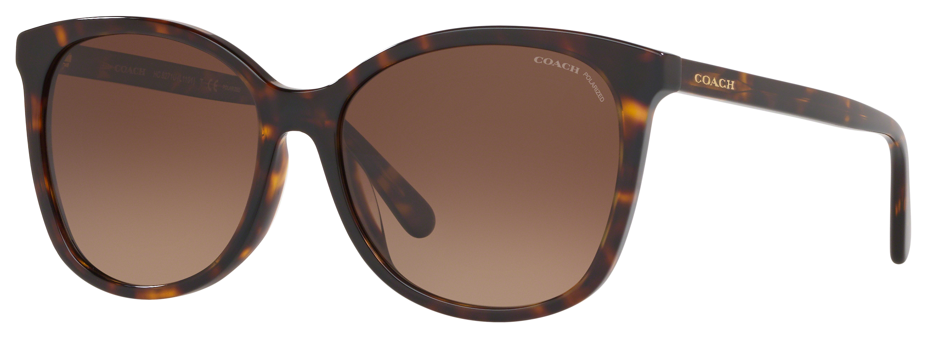 Image of Coach HC8271 Polarized Sunglasses for Ladies - Dark Tortoise/Dark Brown Gradient - Medium