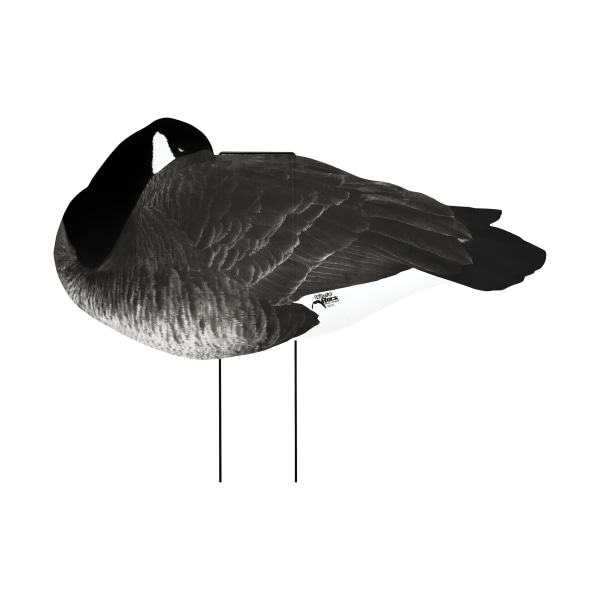 White Rock Decoys Flocked-Head Silhouette Canada Goose Decoy Sleeper Pack