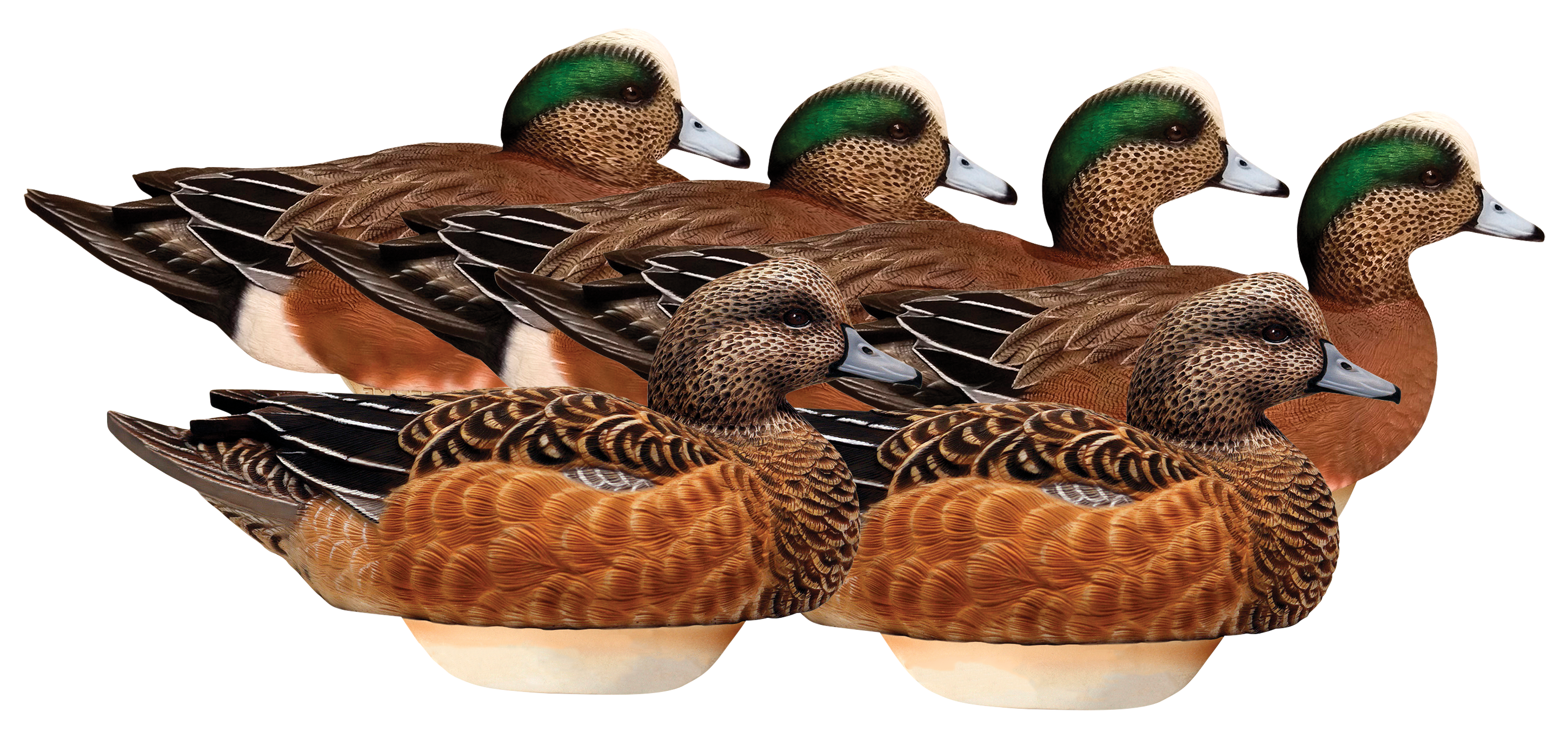 Lifetime Decoys FlexFloat Wigeon Duck Decoys
