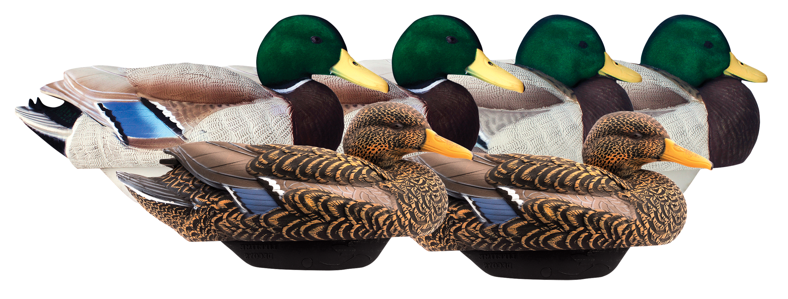 Lifetime Decoys FlexFloat Flocked Mallard Duck Decoys with Cable Rigs